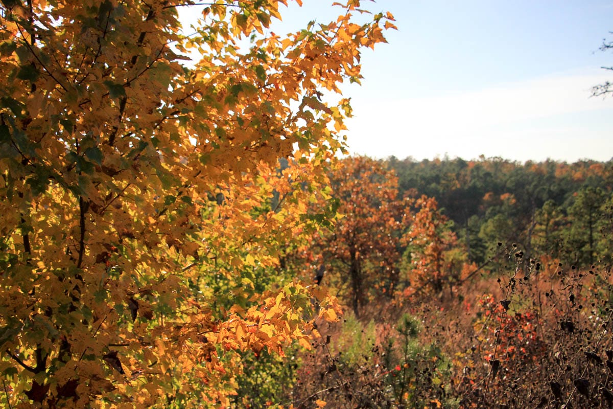 Stone Creek Phase III Tract 22 photo 5