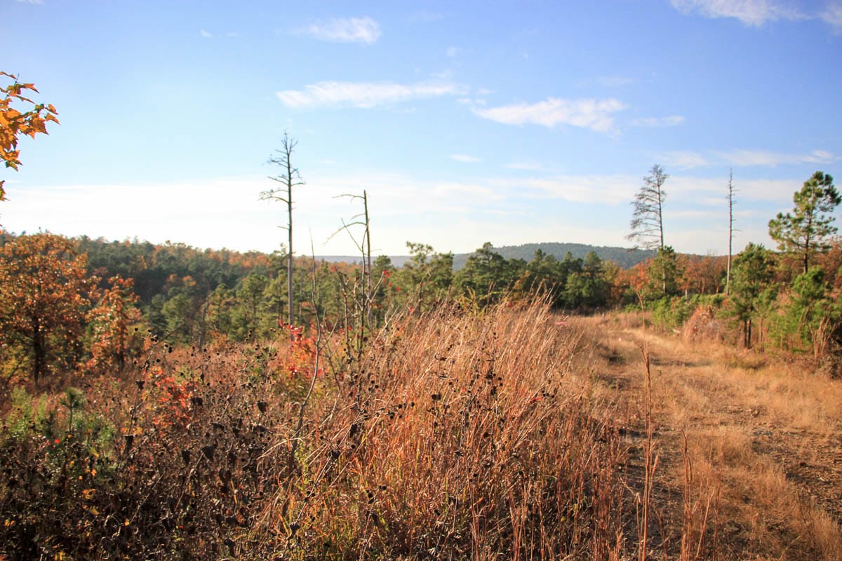 Stone Creek Phase III Tract 22 photo 6