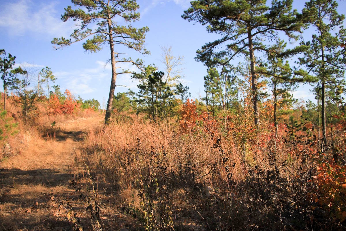 Stone Creek Phase III Tract 22 photo 8
