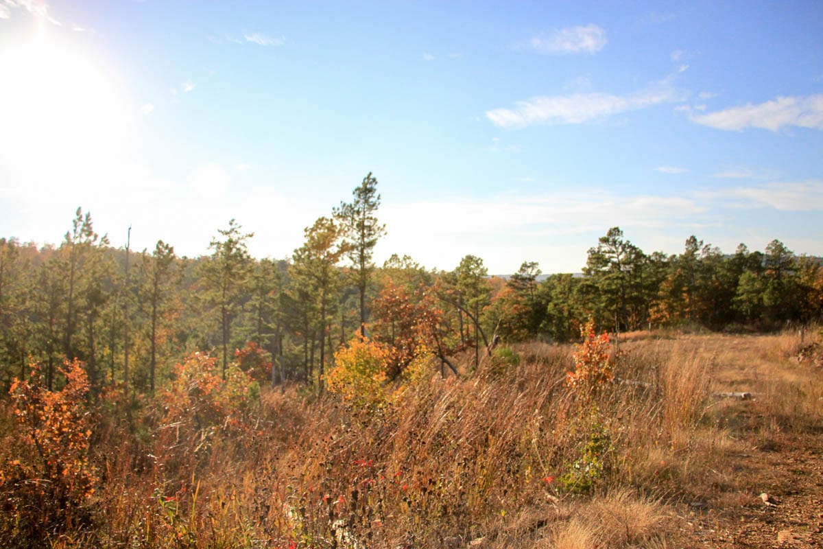 Stone Creek Phase III Tract 22 photo 11