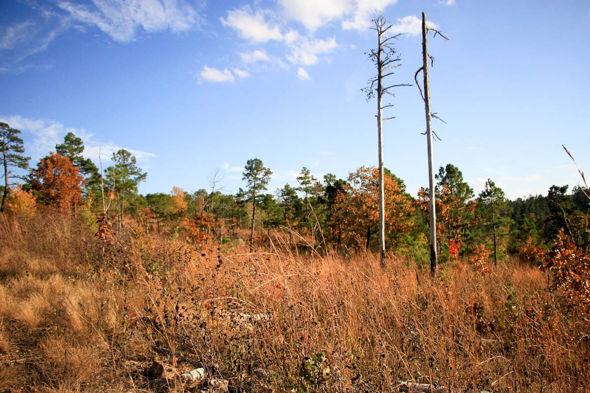 Stone Creek Phase III Tract 22 photo 12