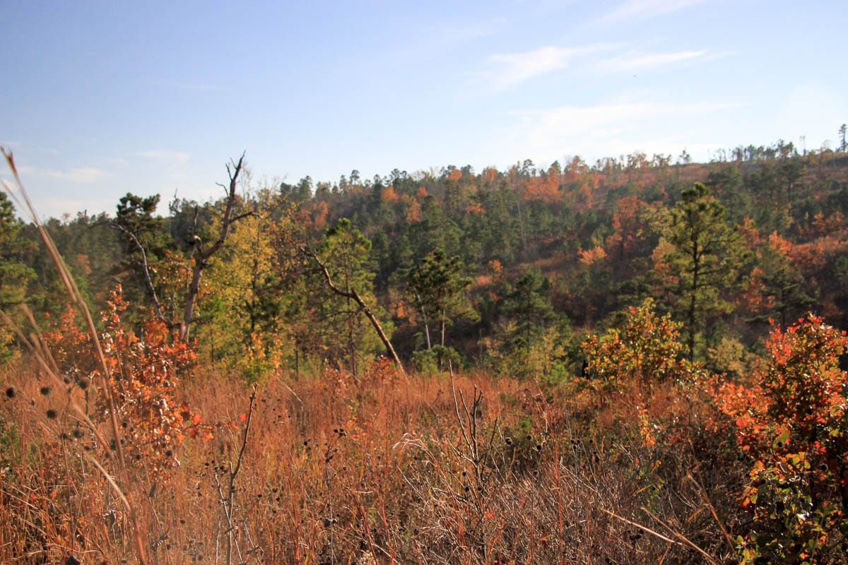 Stone Creek Phase III Tract 22 photo 13