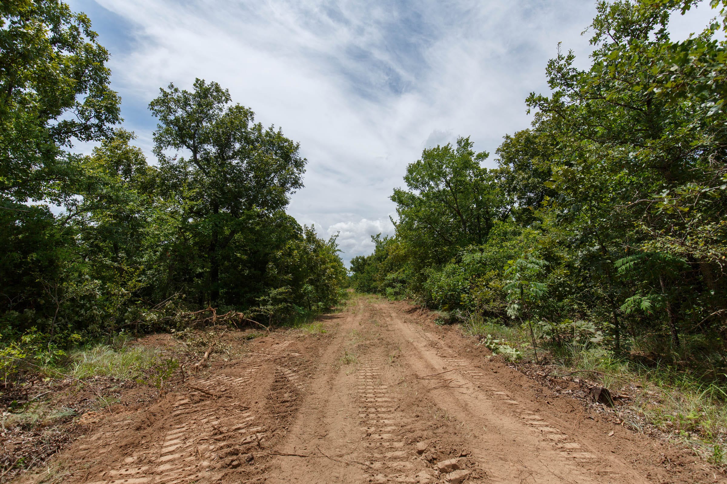 Timber Ridge Tract 8 photo 1