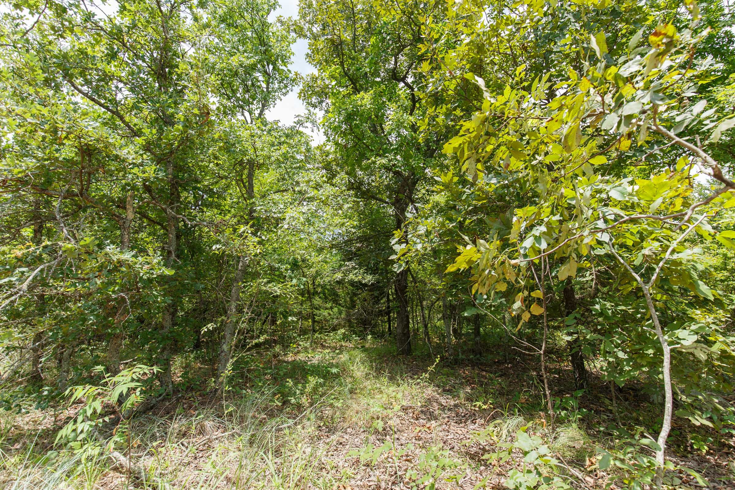 Timber Ridge Tract 8 photo 2
