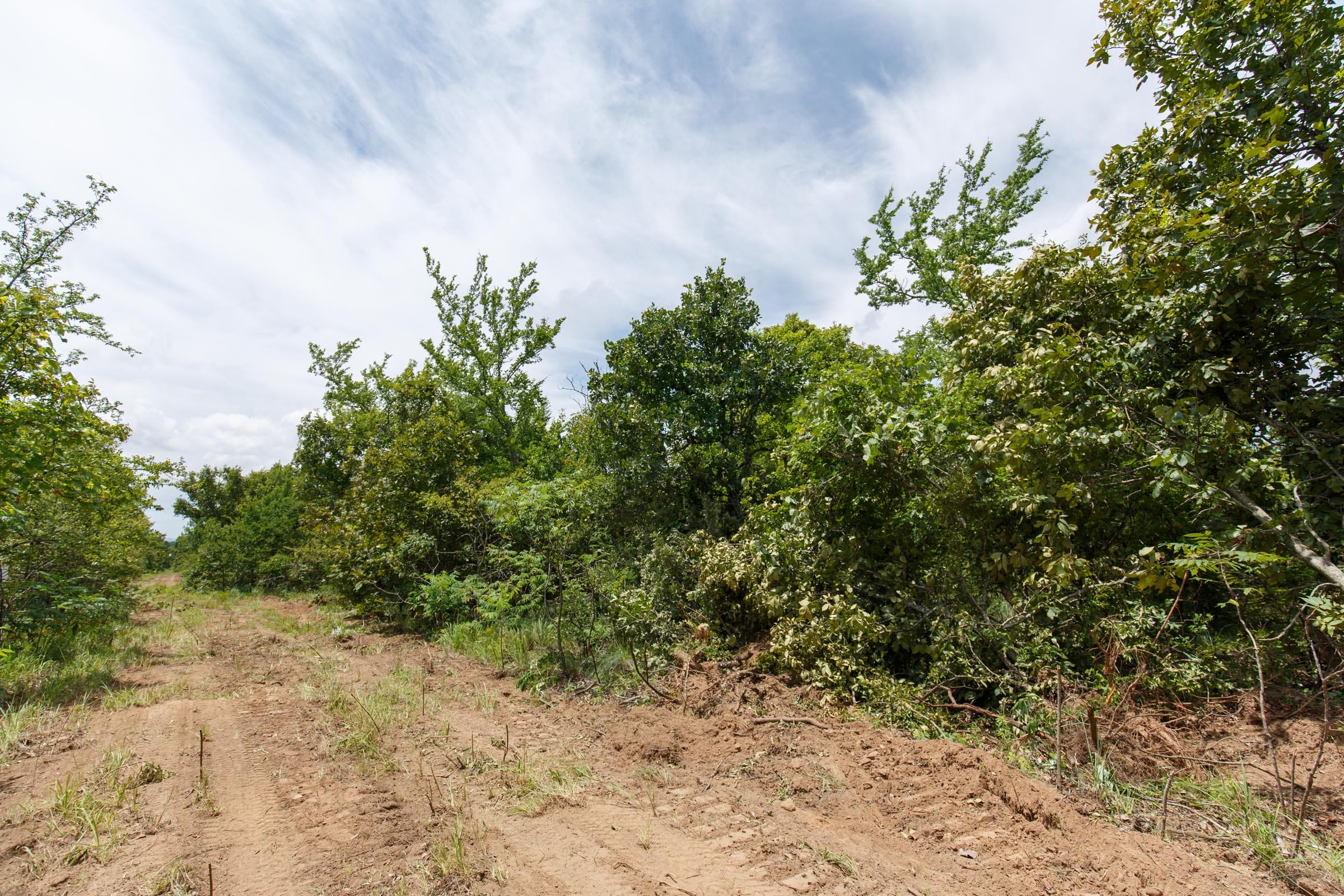 Timber Ridge Tract 8 photo 5