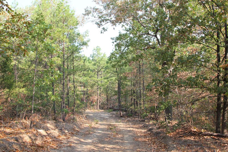 Trophy Ridge Phase I Tract 51 photo 1