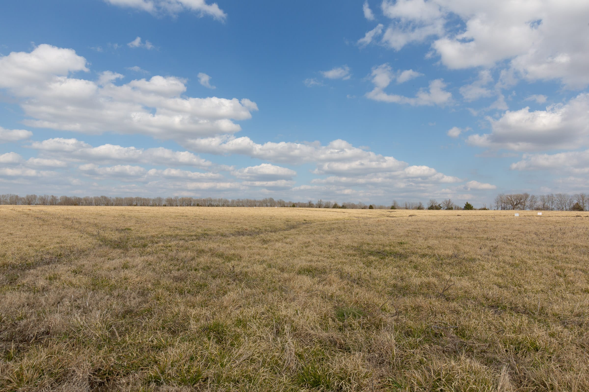 Wishing Star Ranch Tract 35 photo 2