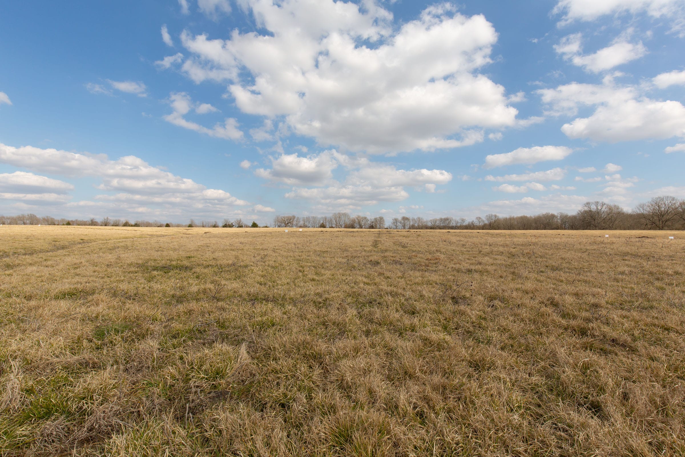 Wishing Star Ranch Tract 35 photo 3