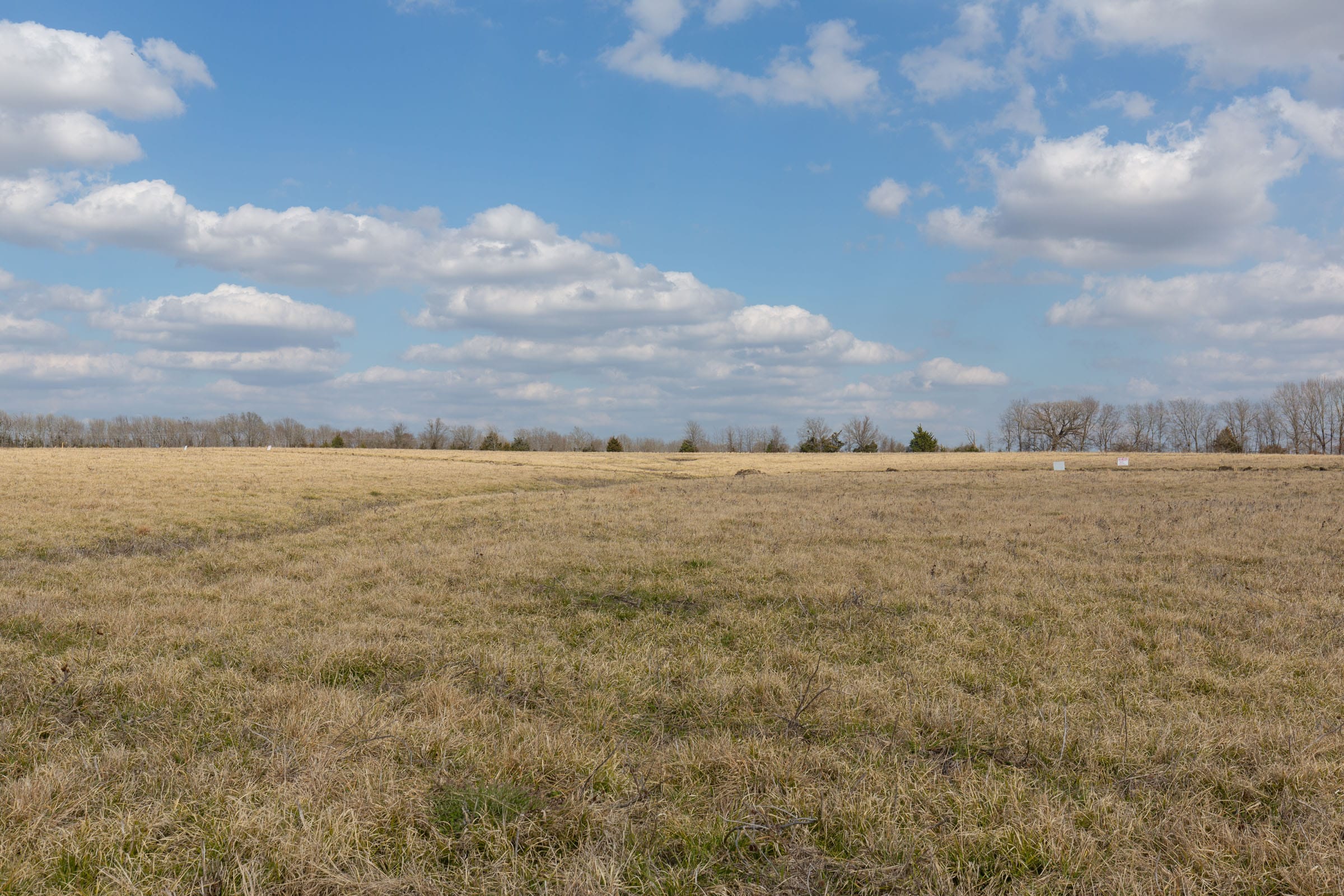 Wishing Star Ranch Tract 35 photo 4