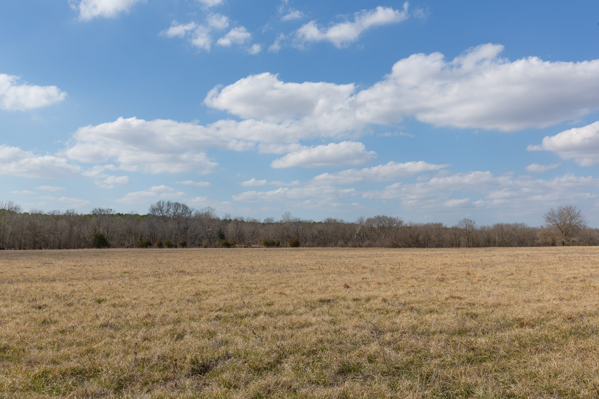 Wishing Star Ranch Tract 35 photo 5