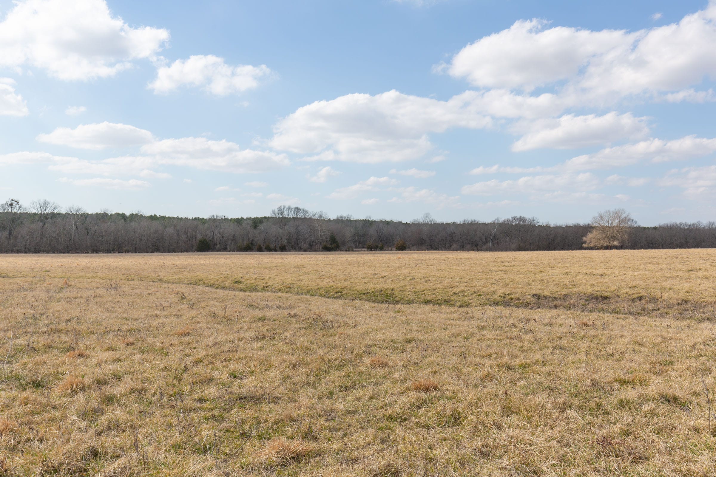 Wishing Star Ranch Tract 35 photo 6