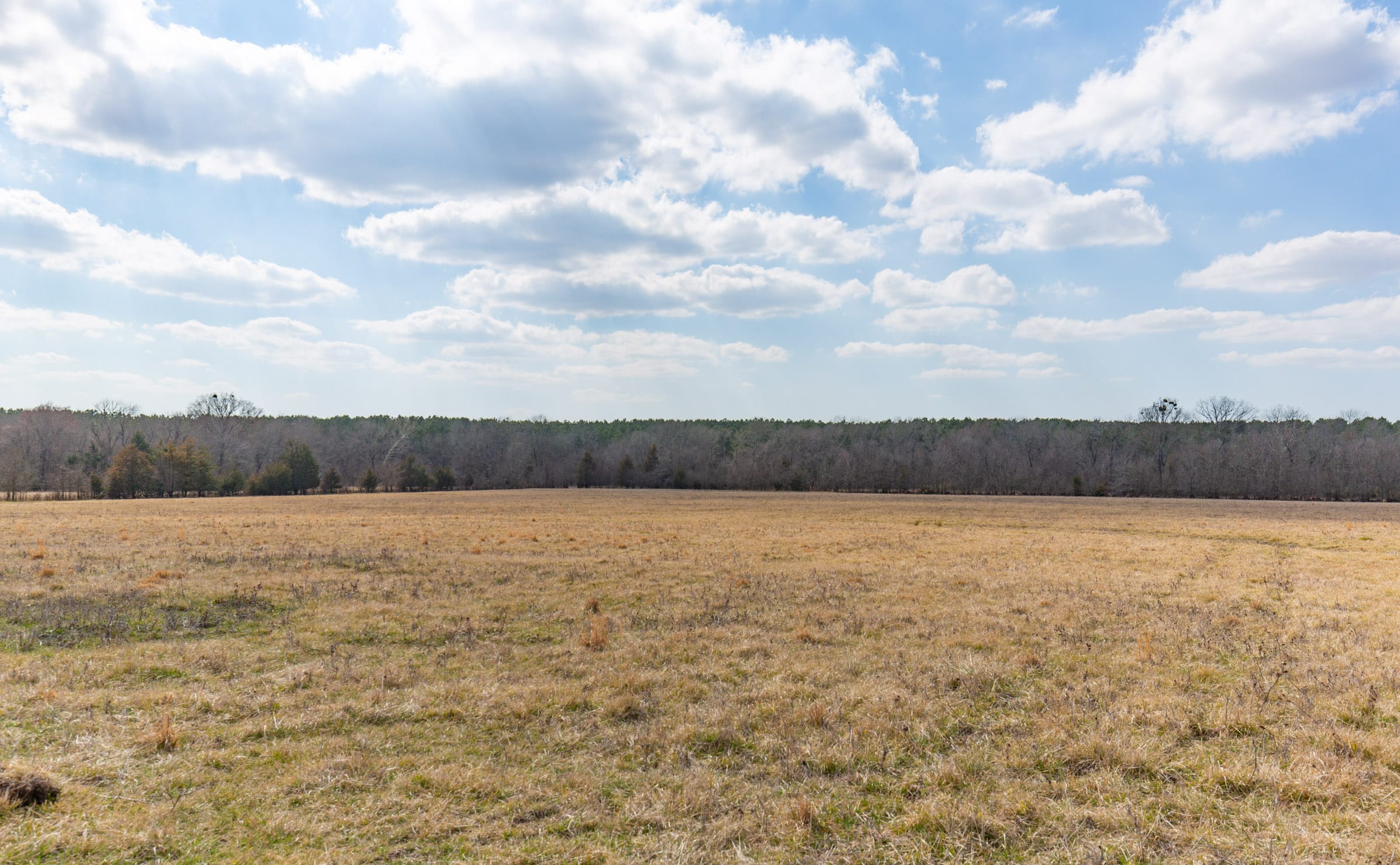 Wishing Star Ranch Tract 35 photo 7