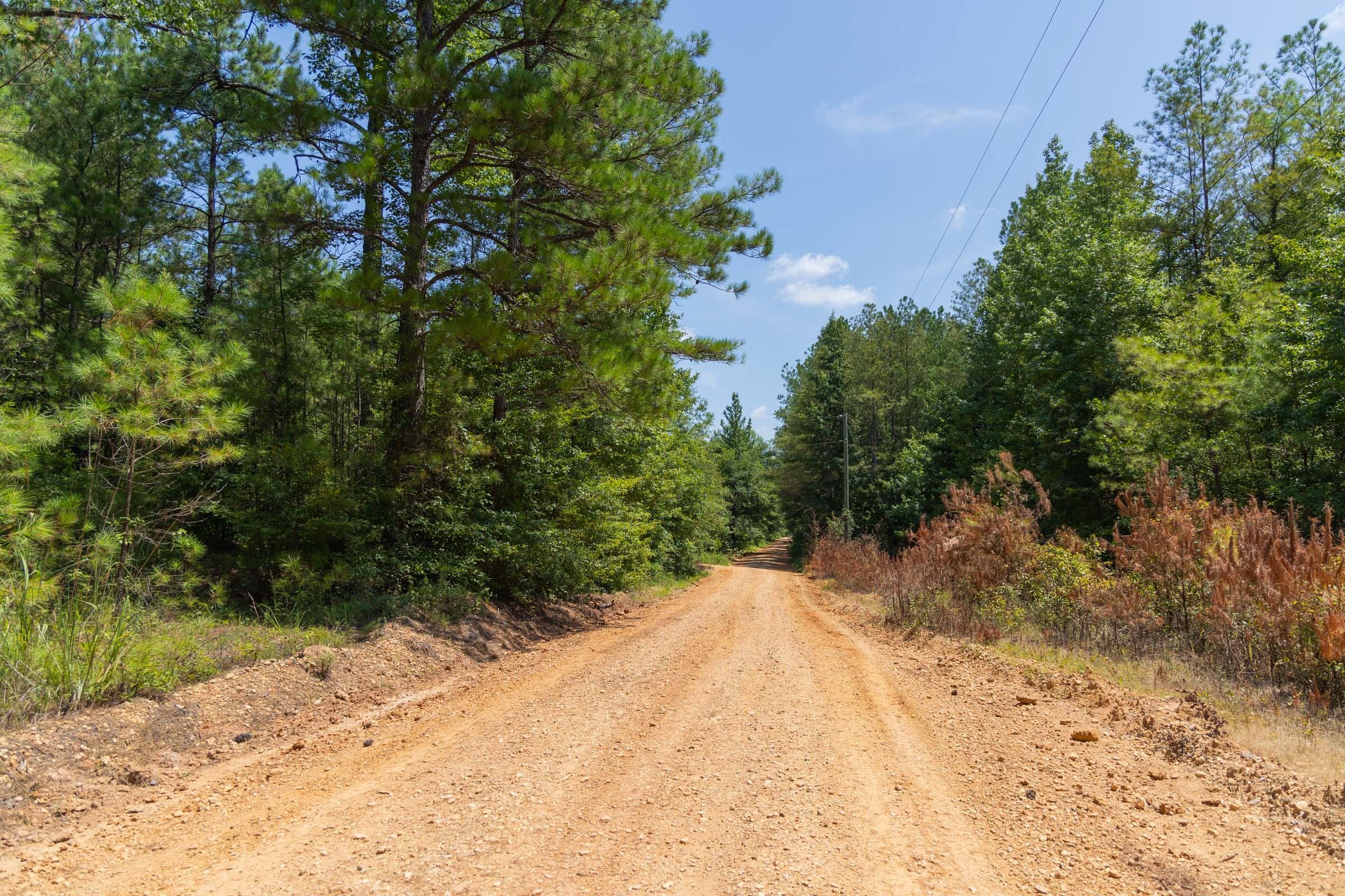 Olive Hill Tract 3 photo 2
