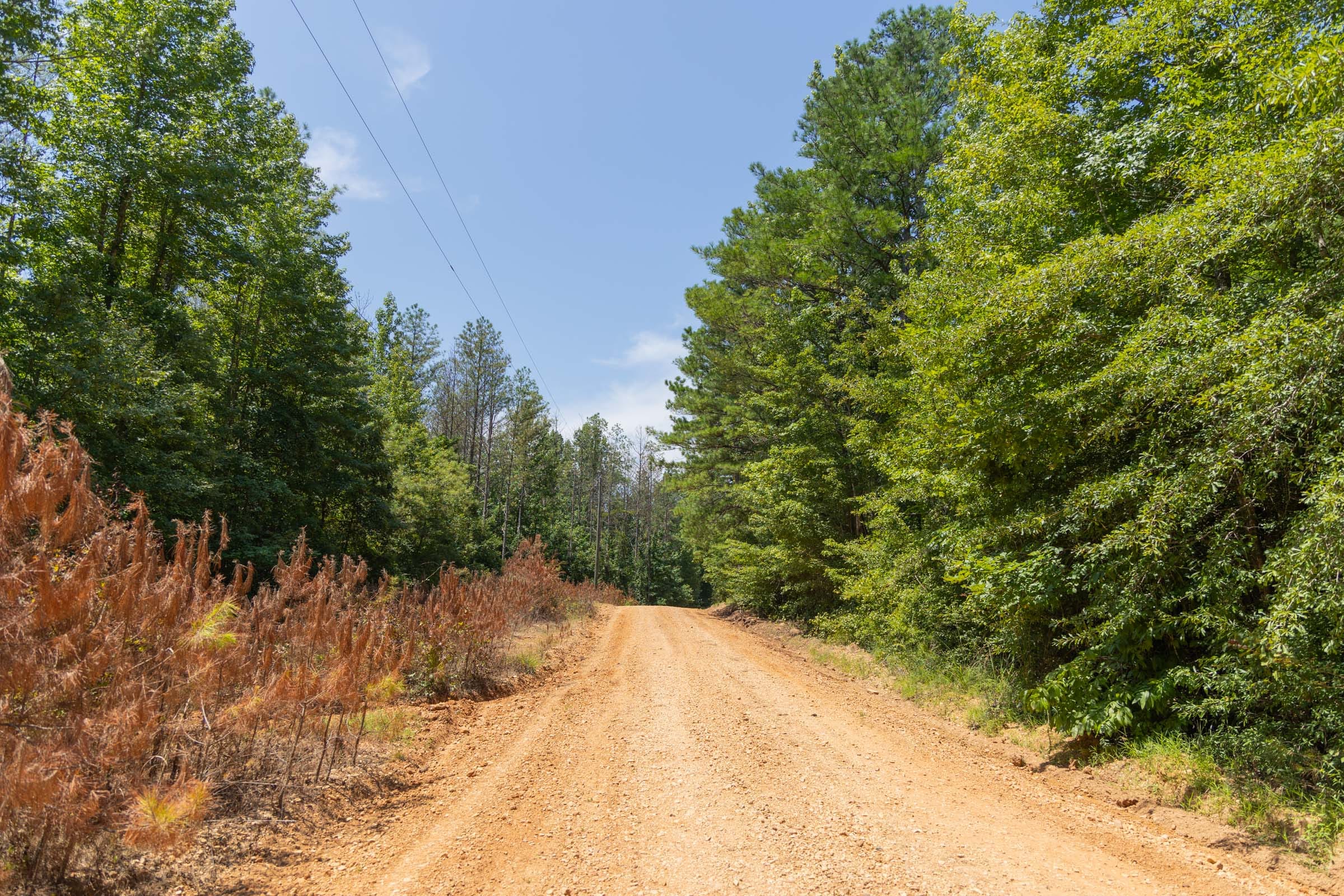 Olive Hill Tract 3 photo 5