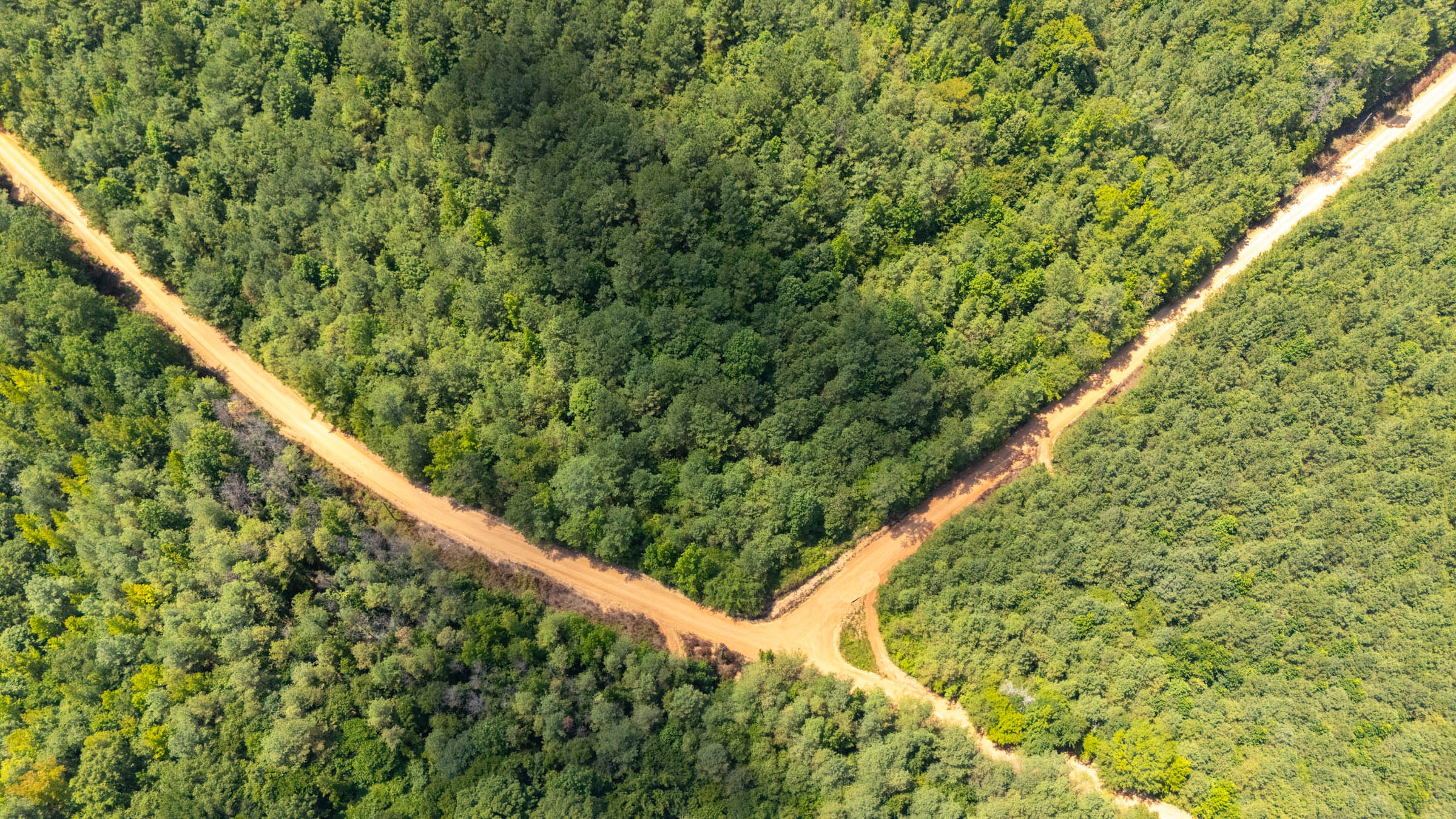 Olive Hill Tract 3 photo 1