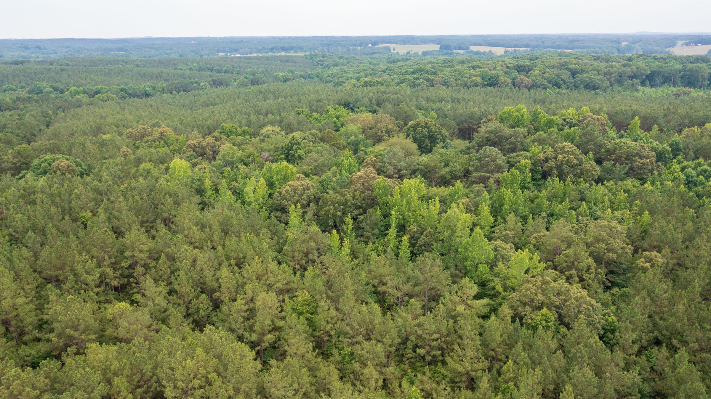 Whiskey Ridge Tract 69 photo 1