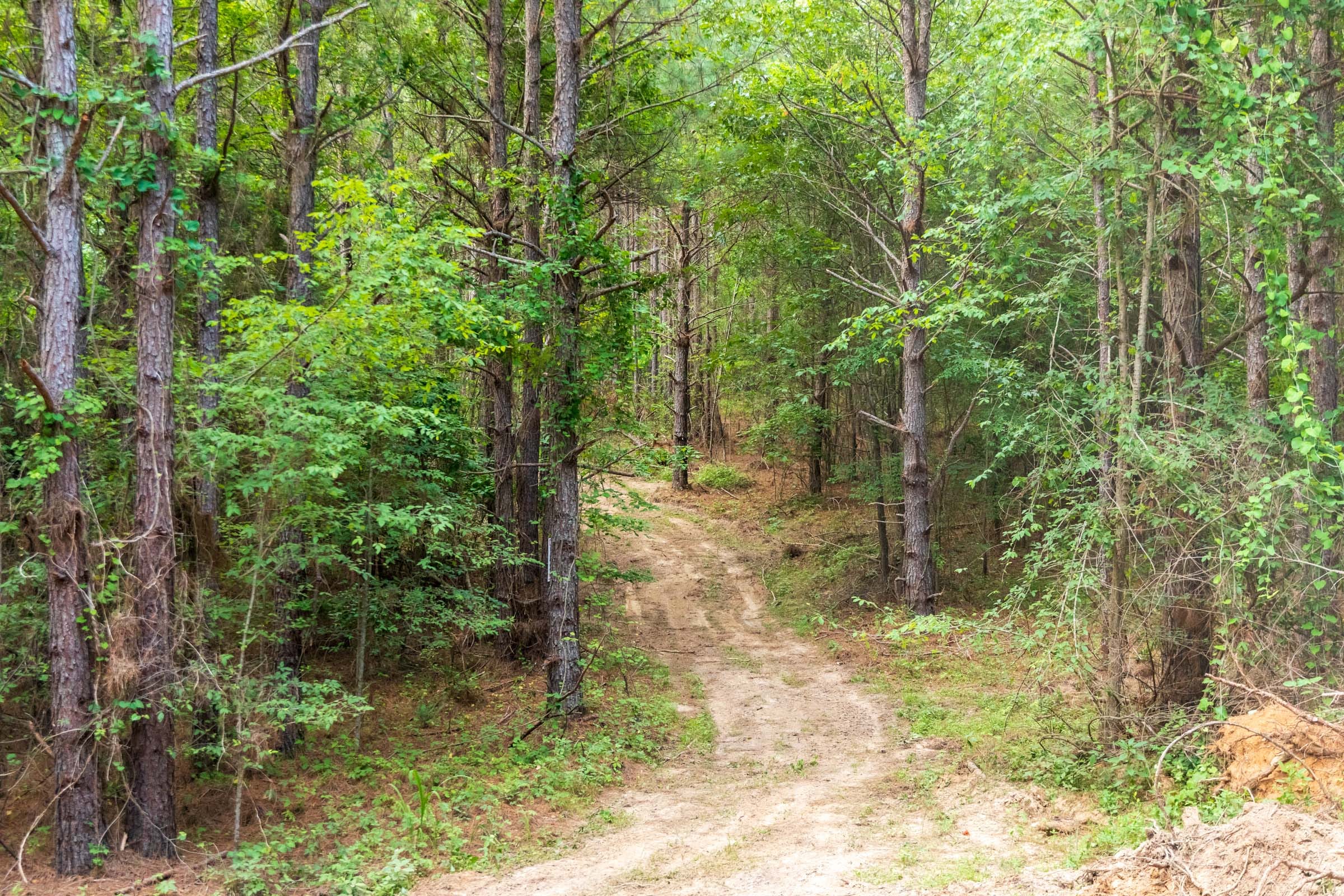 Whiskey Ridge Tract 69 photo 2