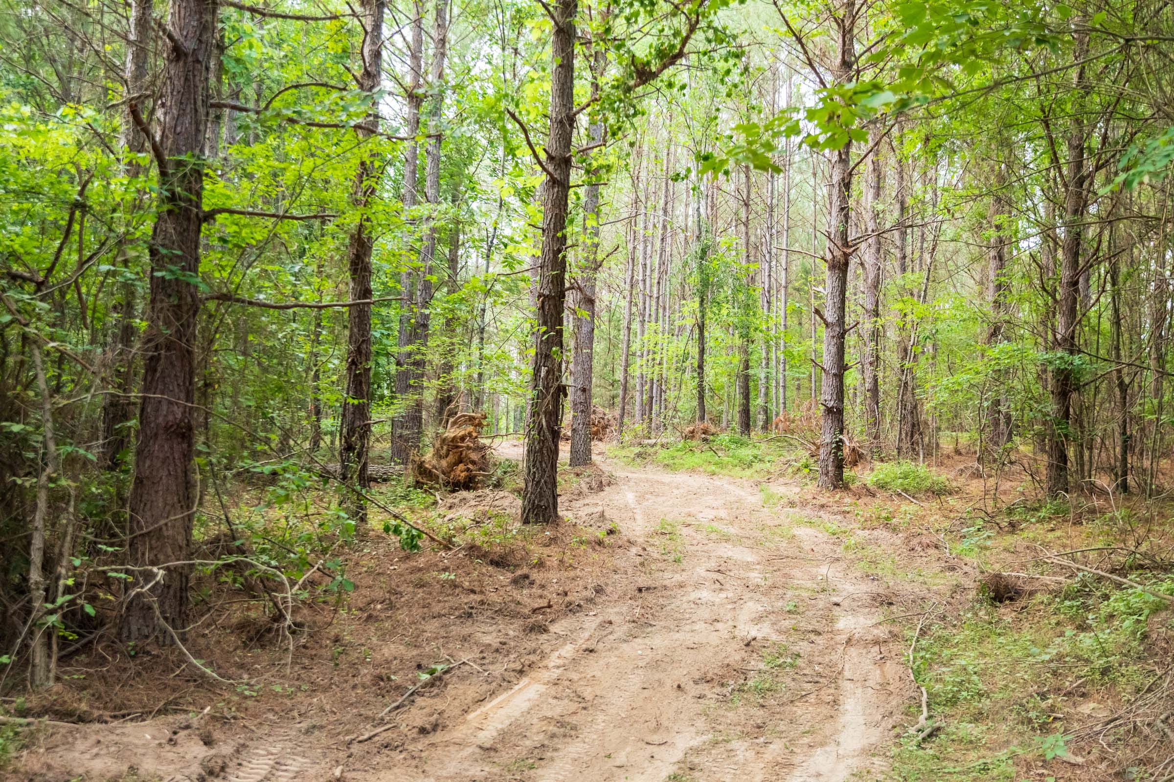 Whiskey Ridge Tract 69 photo 7