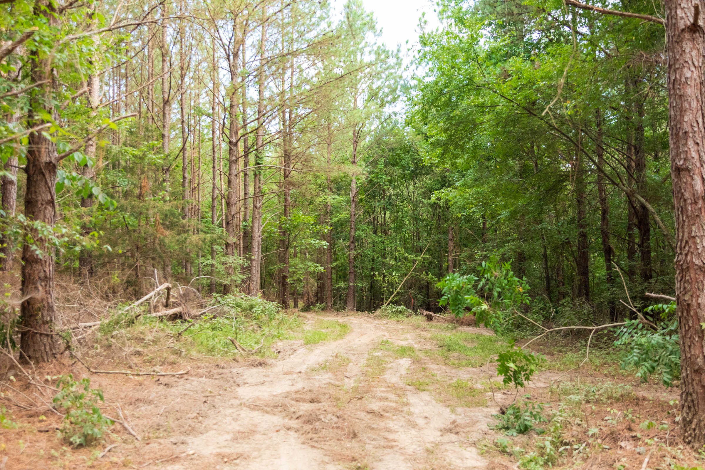 Whiskey Ridge Tract 69 photo 9