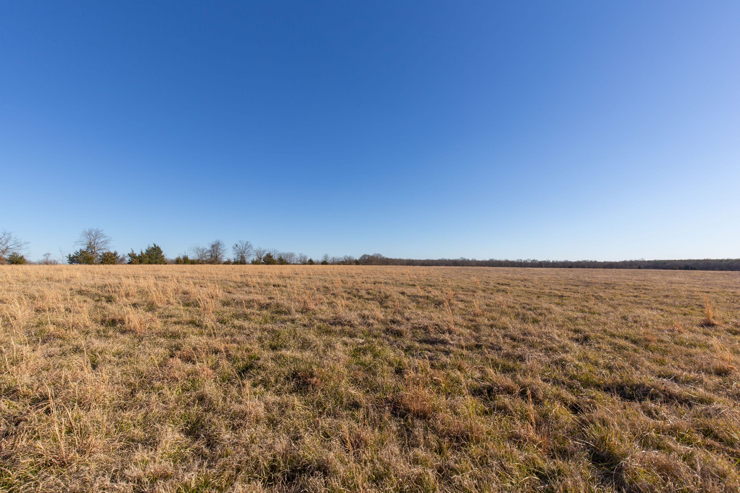 Wishing Star Ranch Tract 11 photo 2