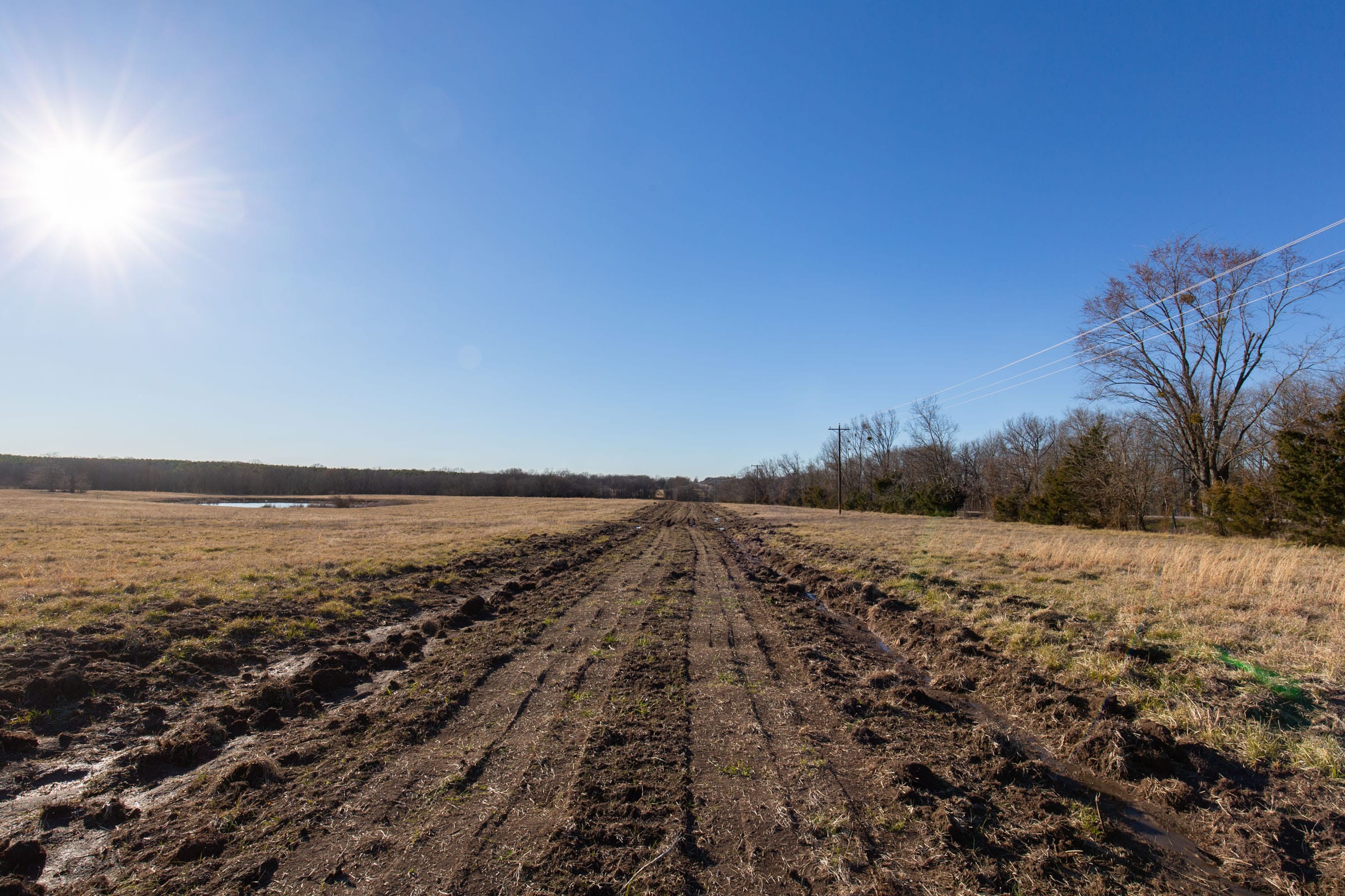 Wishing Star Ranch Tract 11 photo 5