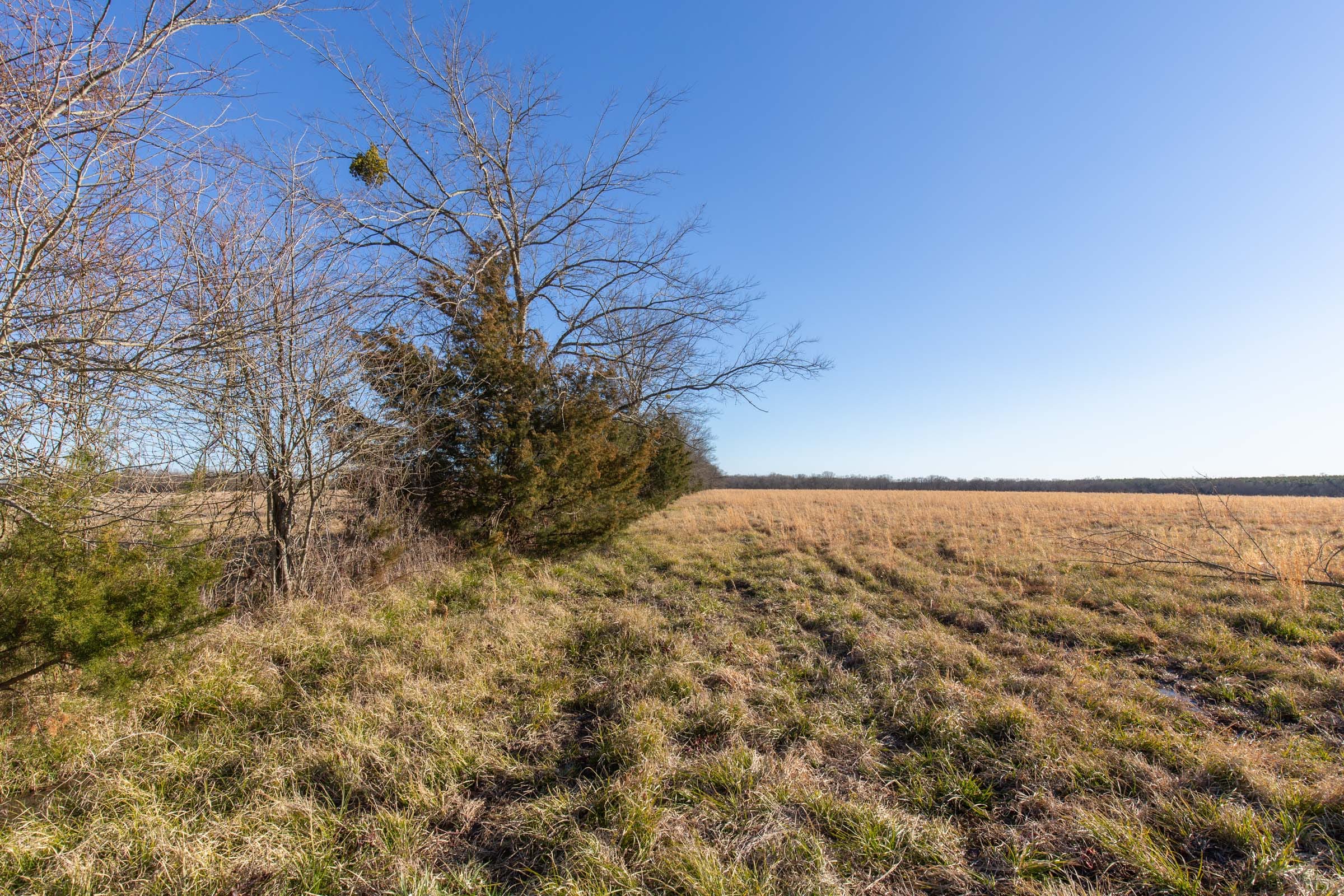 Wishing Star Ranch Tract 11 photo 12