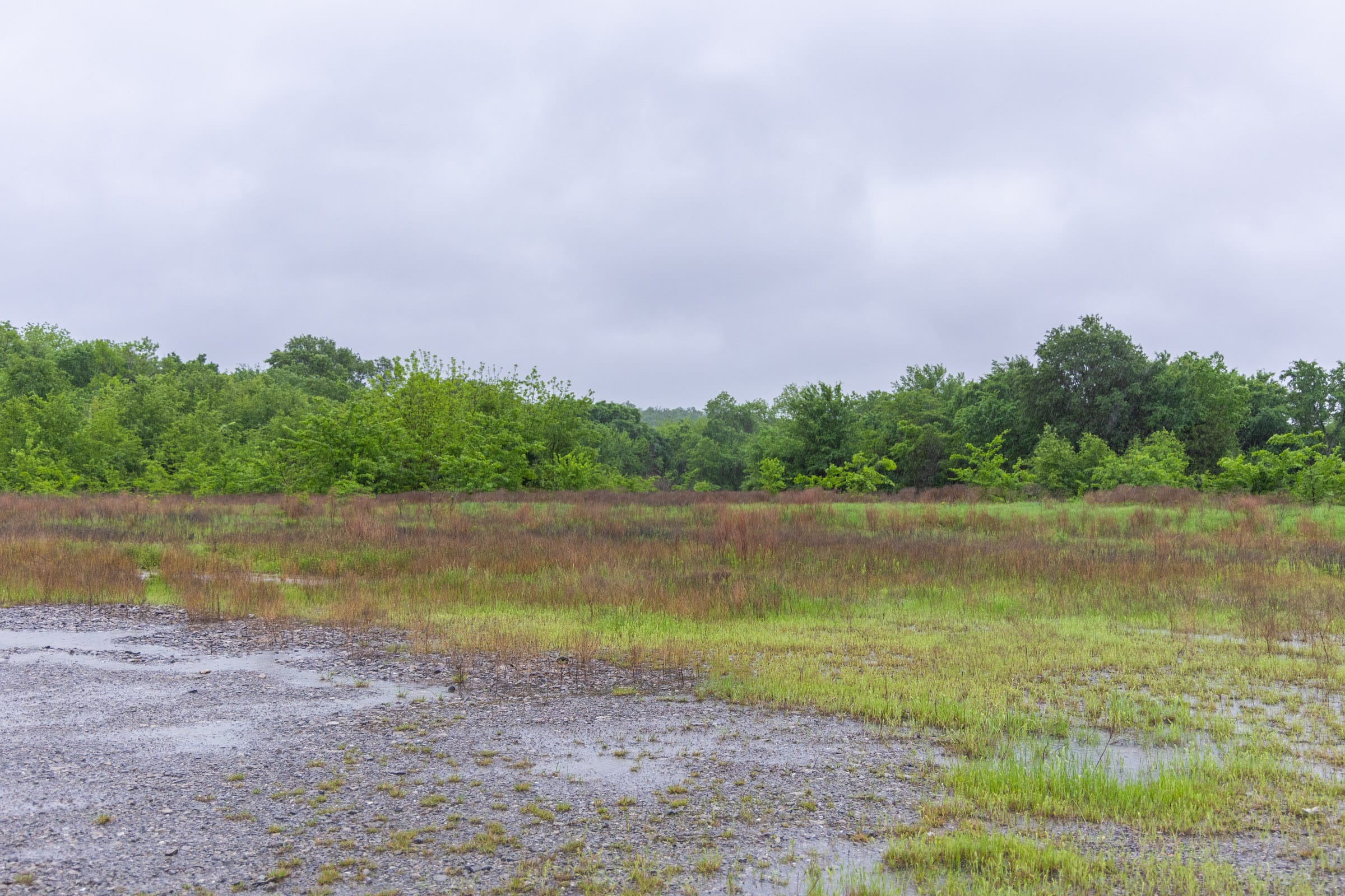 Harmony Hills Tract 21 photo 6
