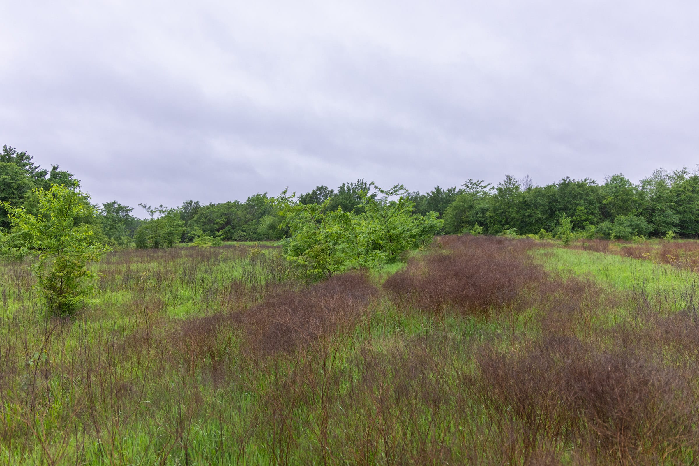 Harmony Hills Tract 21 photo 8