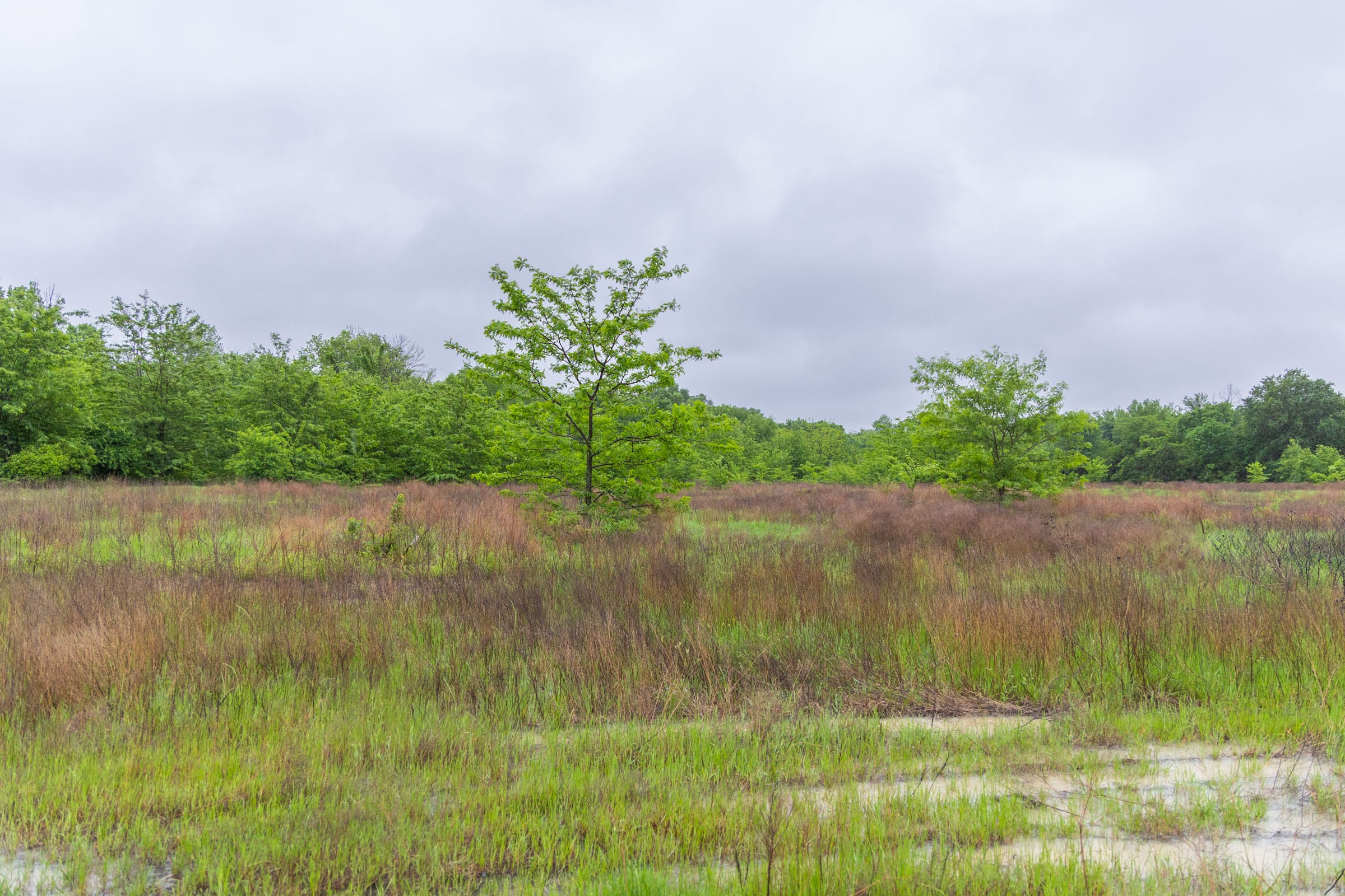 Harmony Hills Tract 21 photo 9