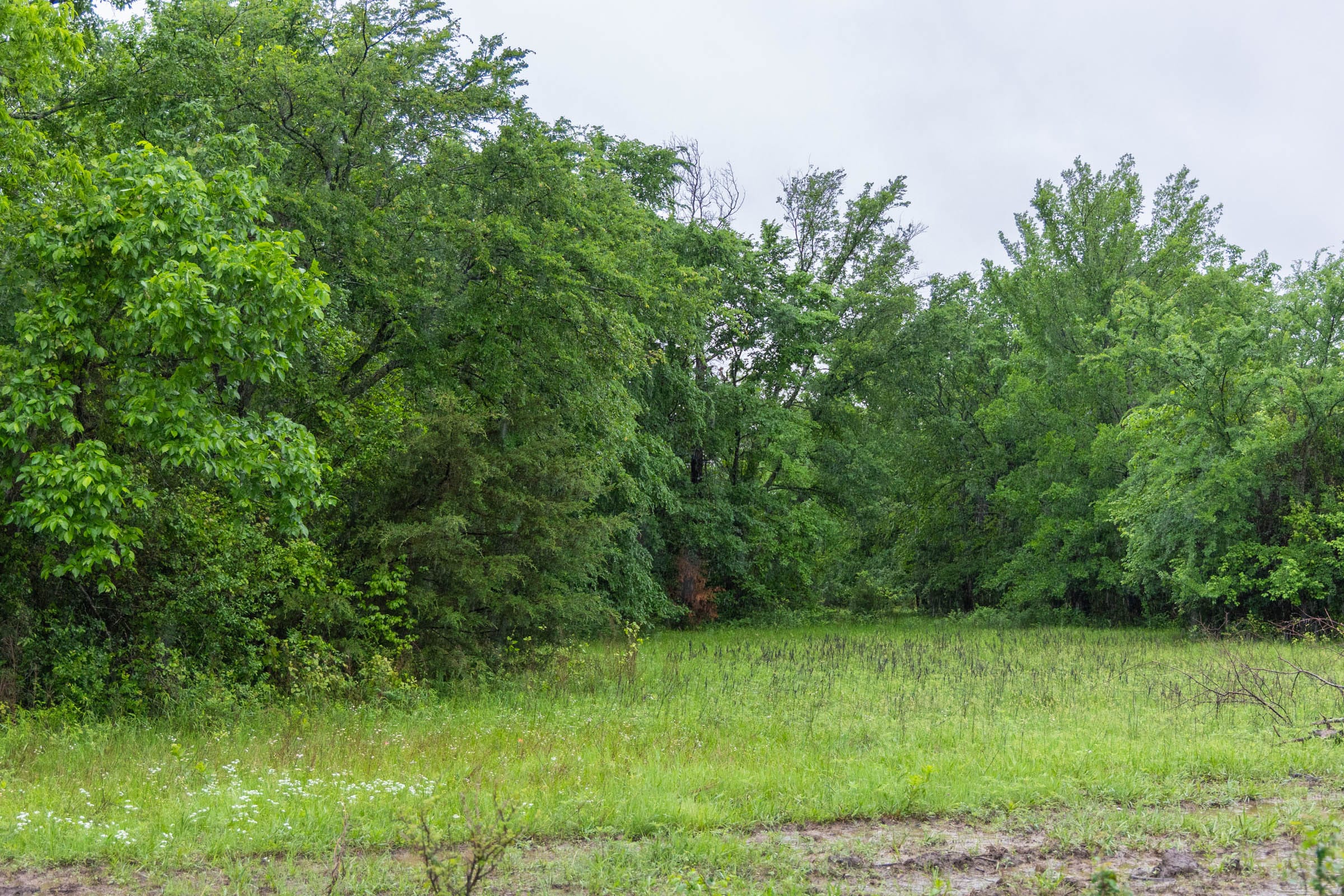 Harmony Hills Tract 21 photo 10