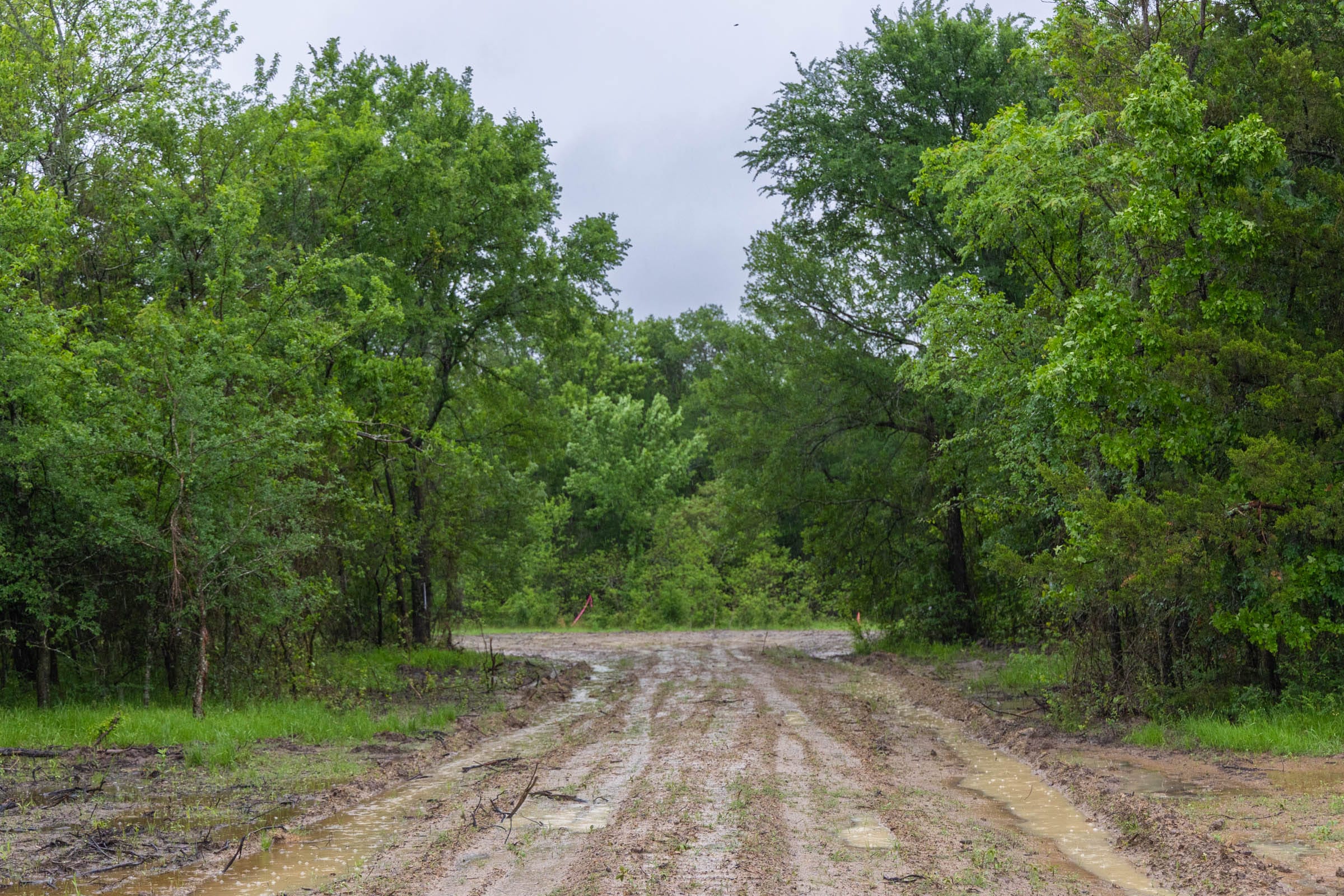 Harmony Hills Tract 21 photo 2