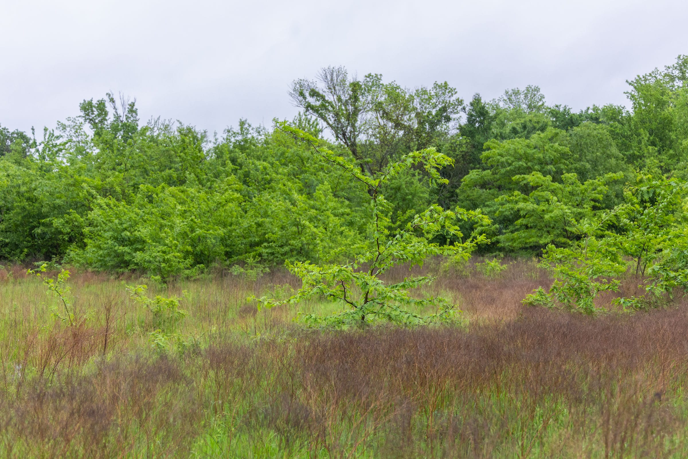 Harmony Hills Tract 21 photo 5