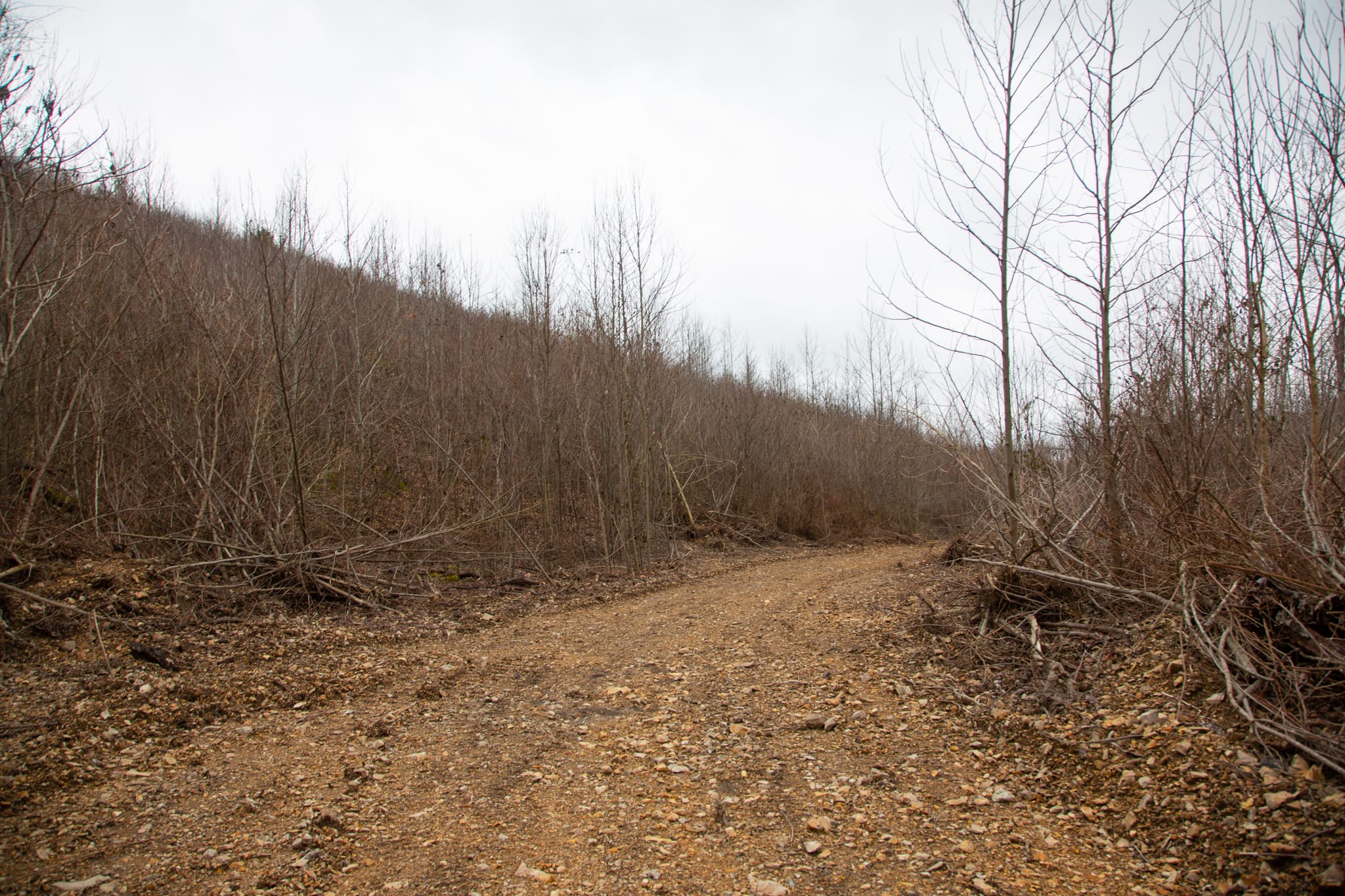 Southwind Ranch Tract 19 photo 2
