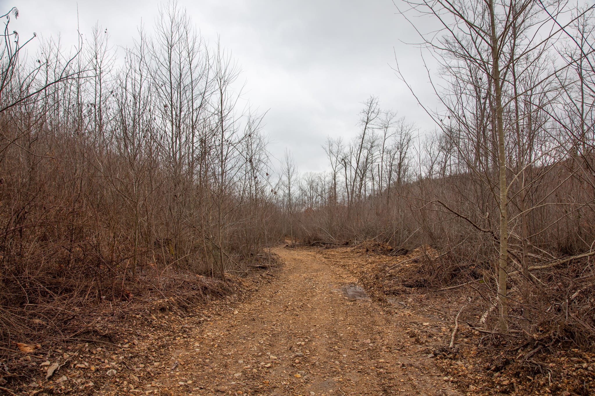 Southwind Ranch Tract 19 photo 3
