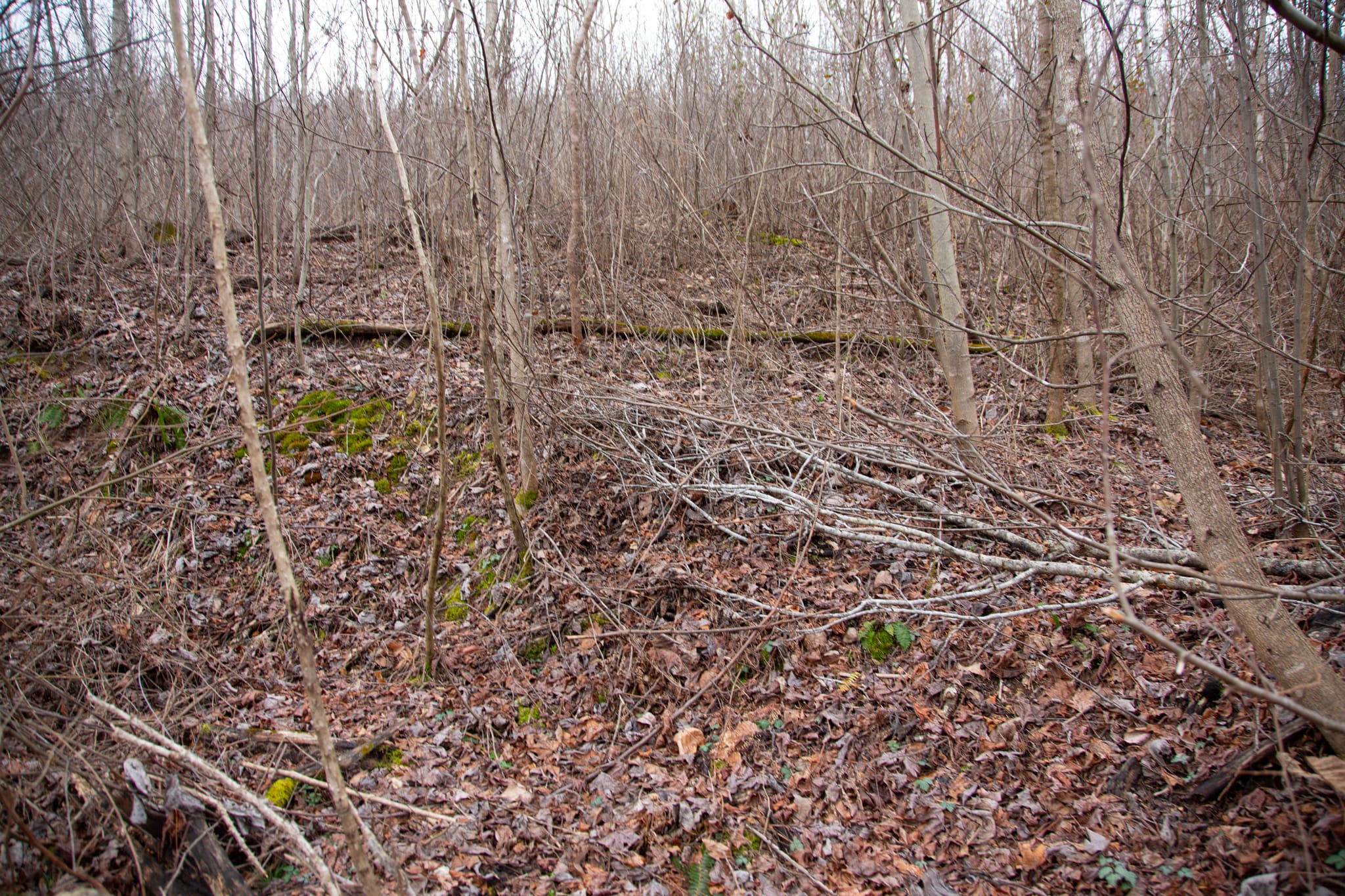 Southwind Ranch Tract 19 photo 6