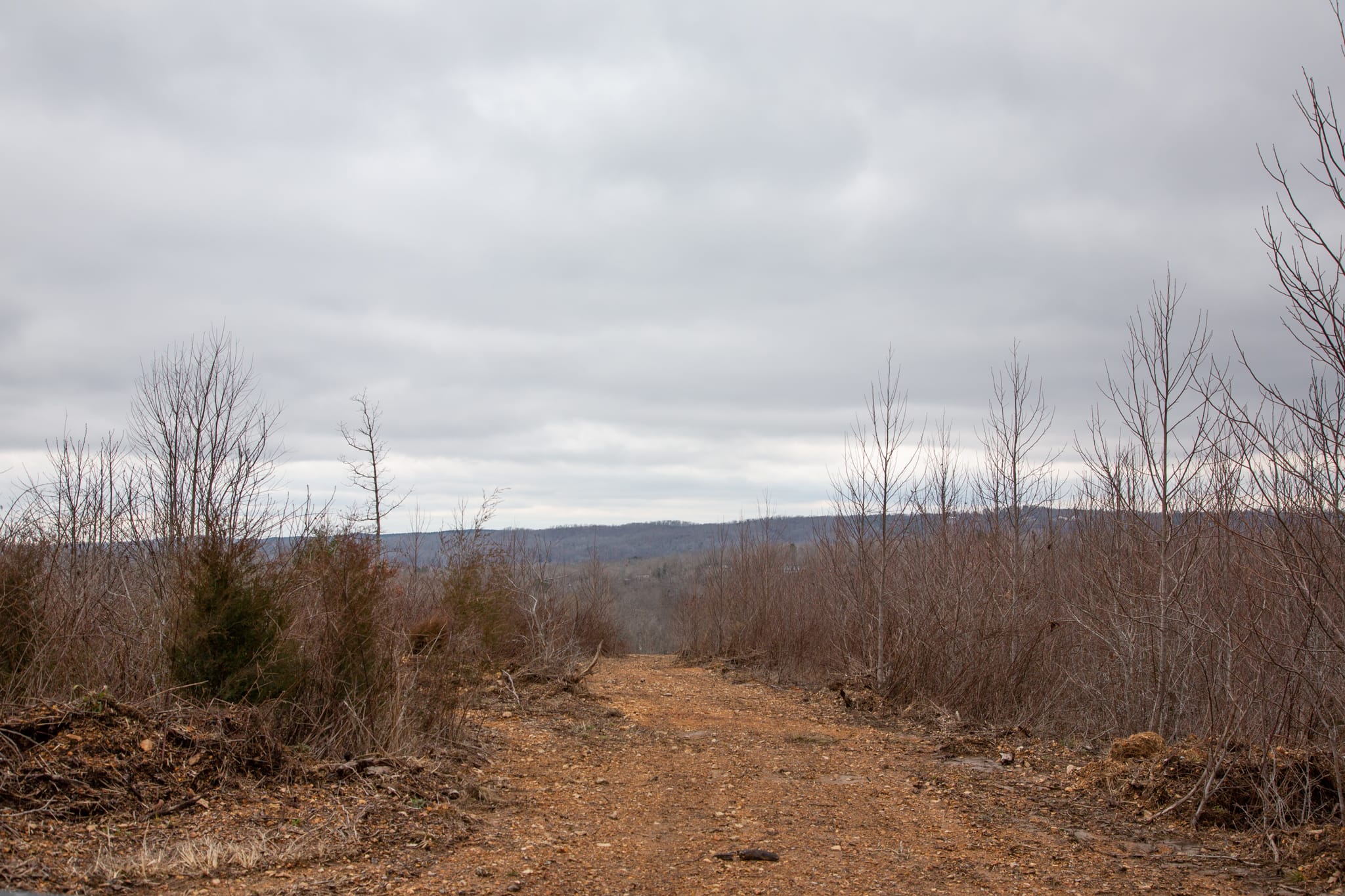 Southwind Ranch Tract 19 photo 10