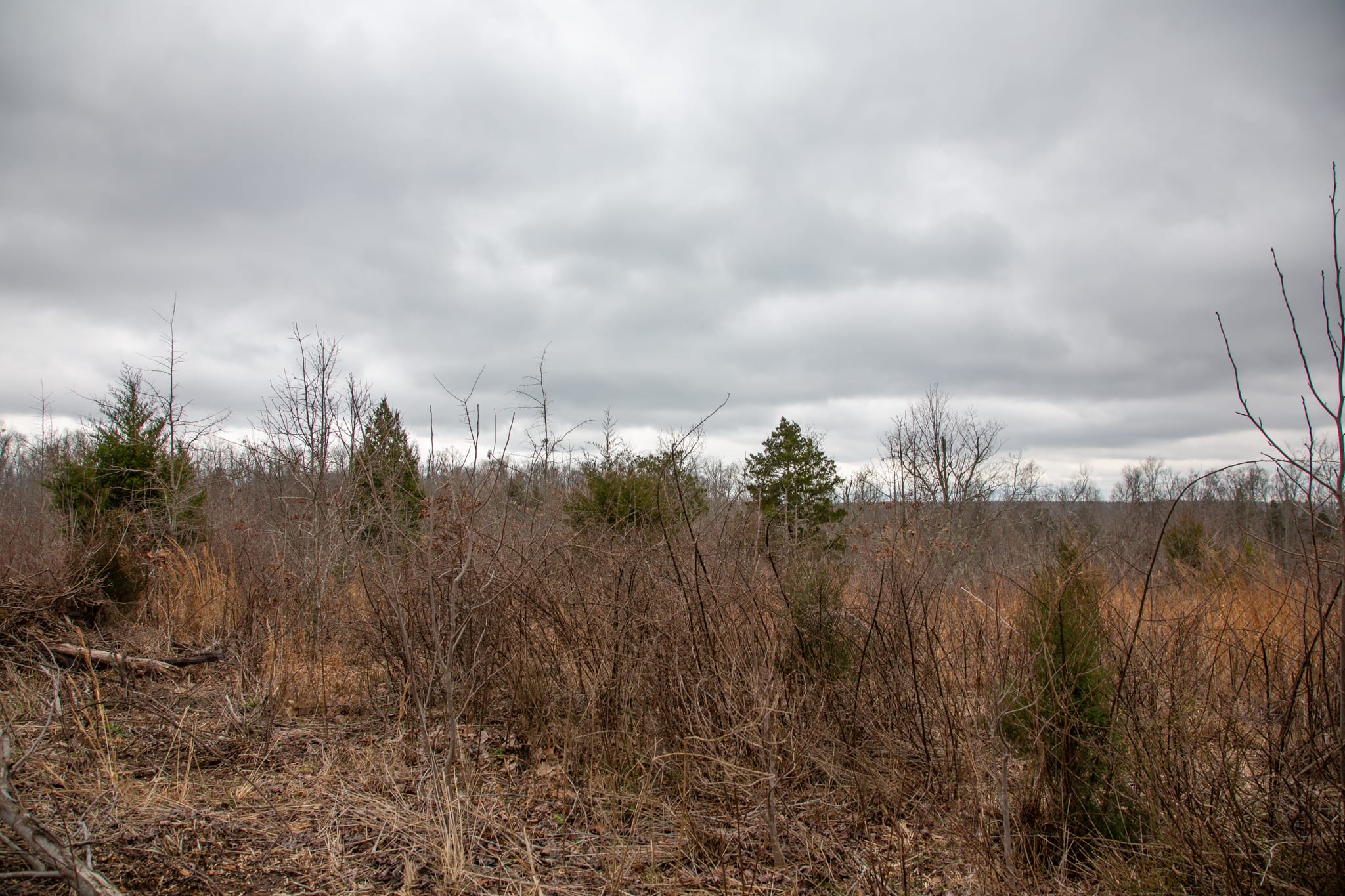 Southwind Ranch Tract 19 photo 11