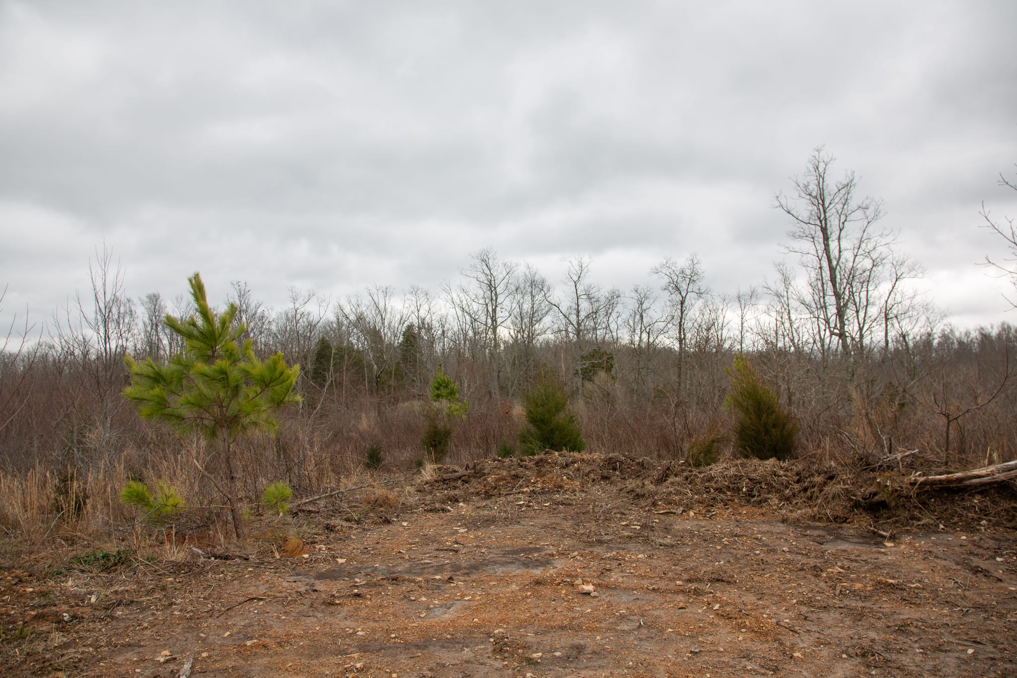 Southwind Ranch Tract 19 photo 13