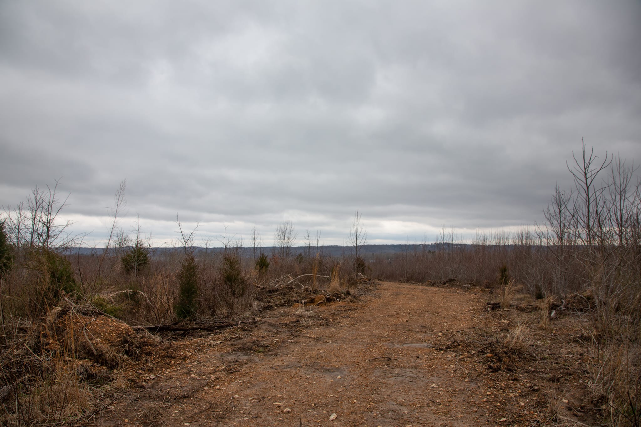 Southwind Ranch Tract 19 photo 14