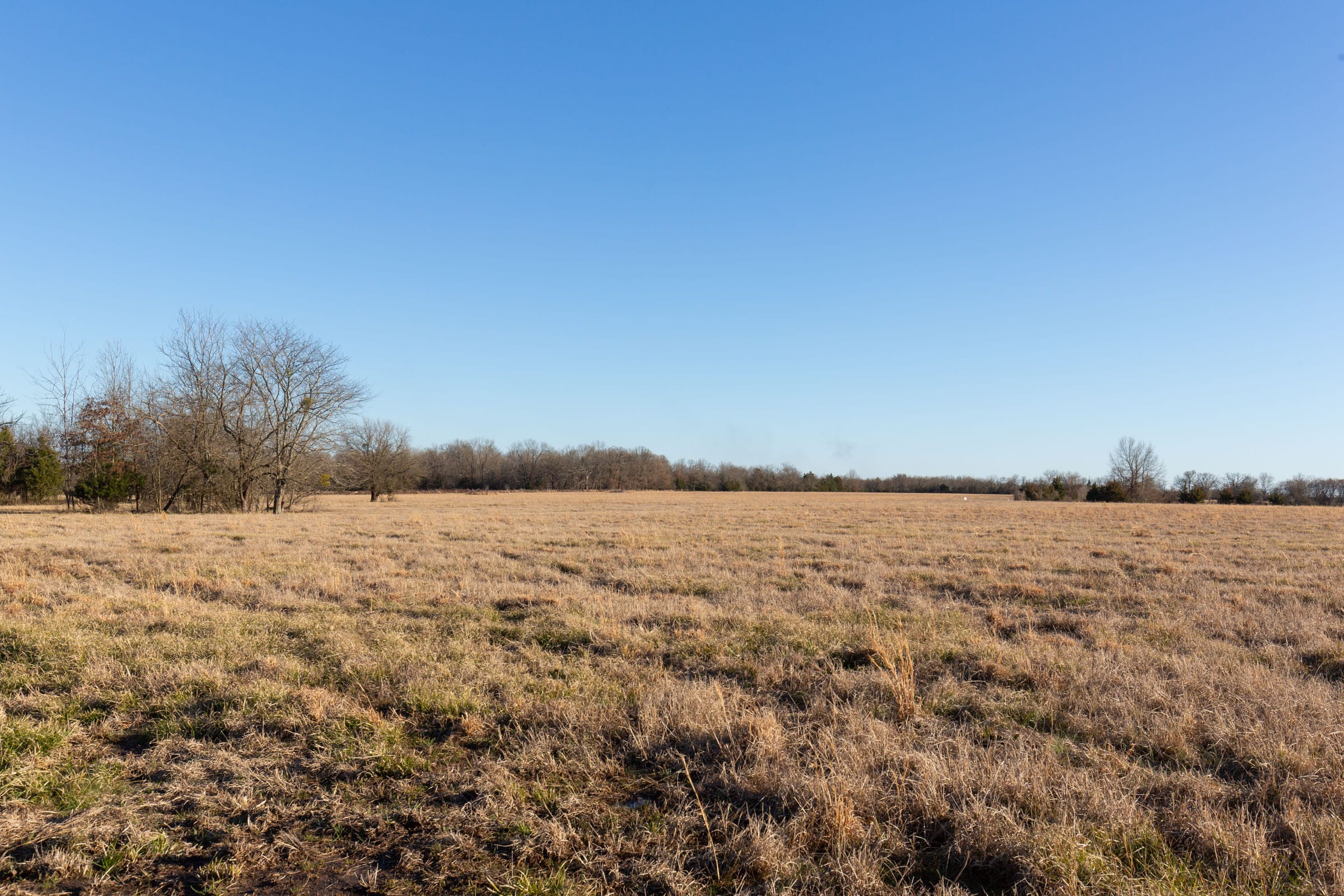 Wishing Star Ranch Tract 14 photo 3
