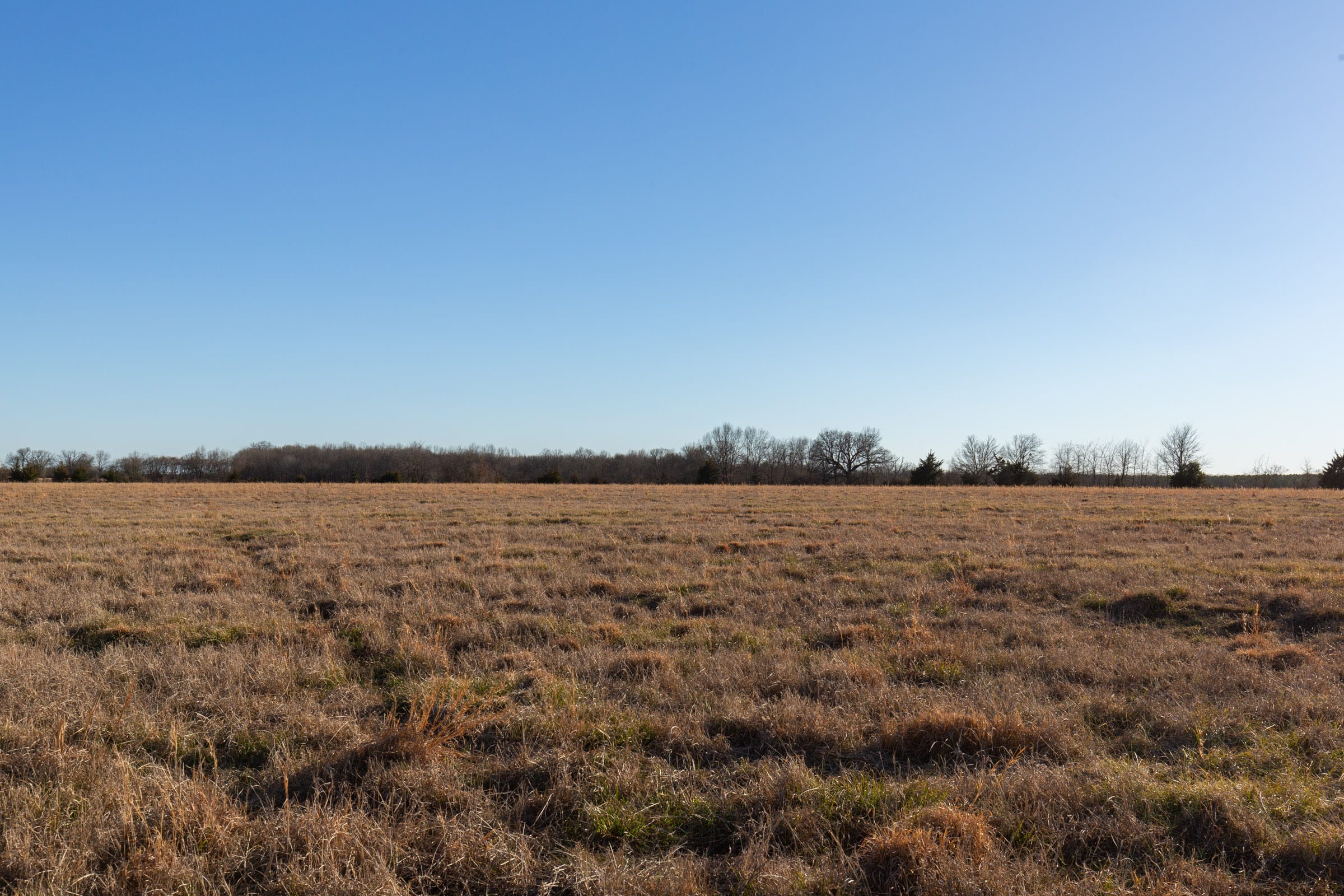 Wishing Star Ranch Tract 14 photo 4