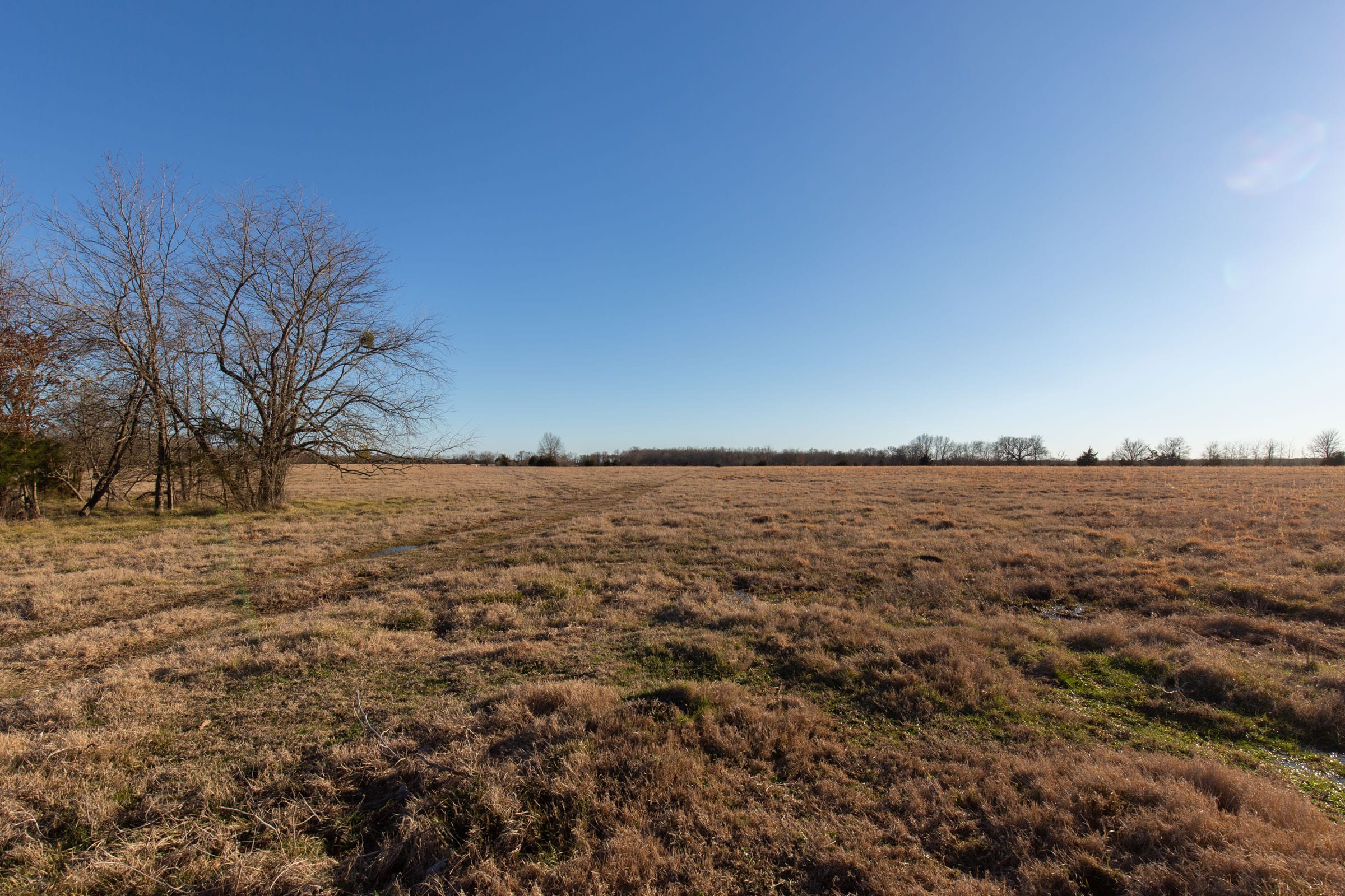 Wishing Star Ranch Tract 14 photo 11