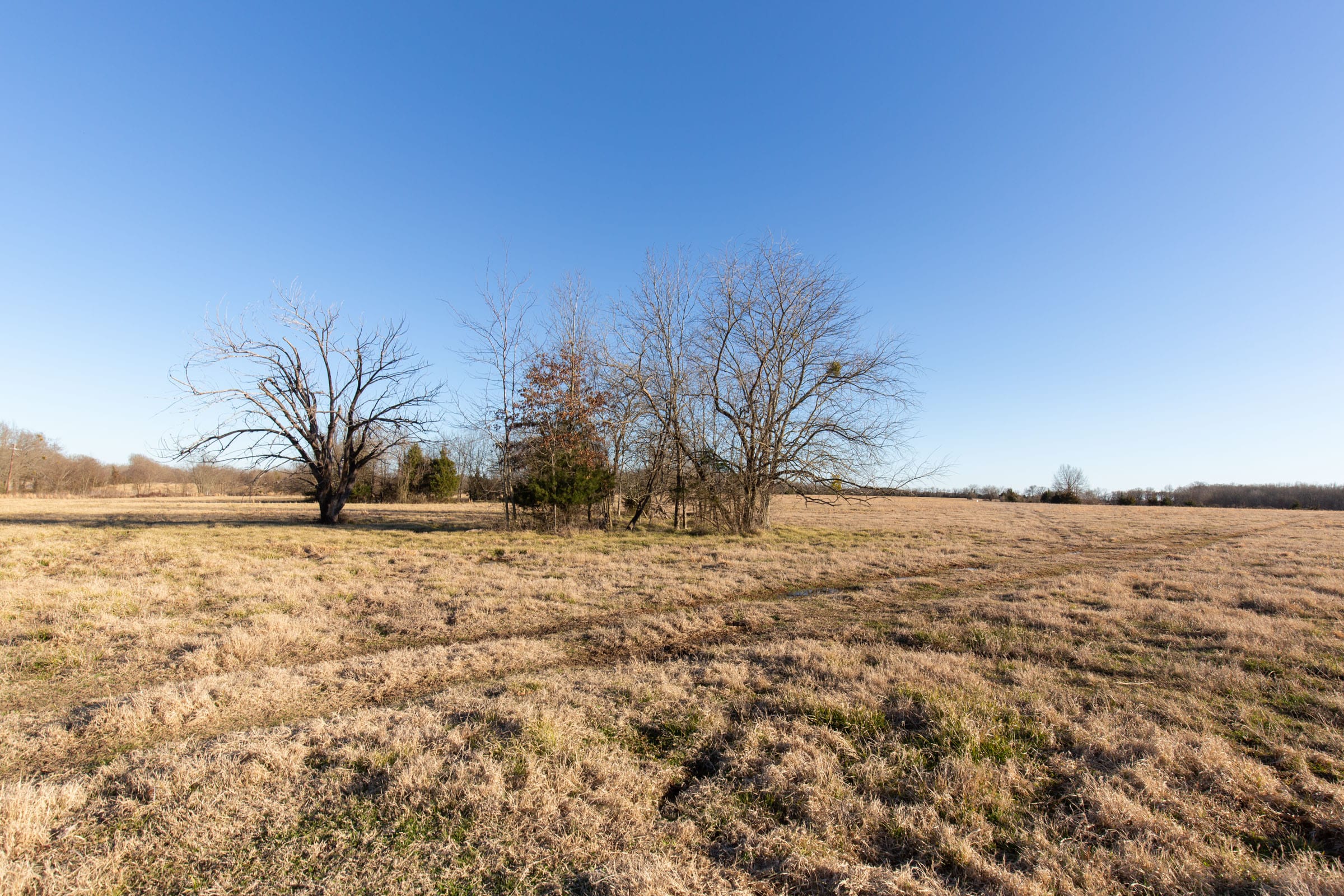 Wishing Star Ranch Tract 14 photo 12