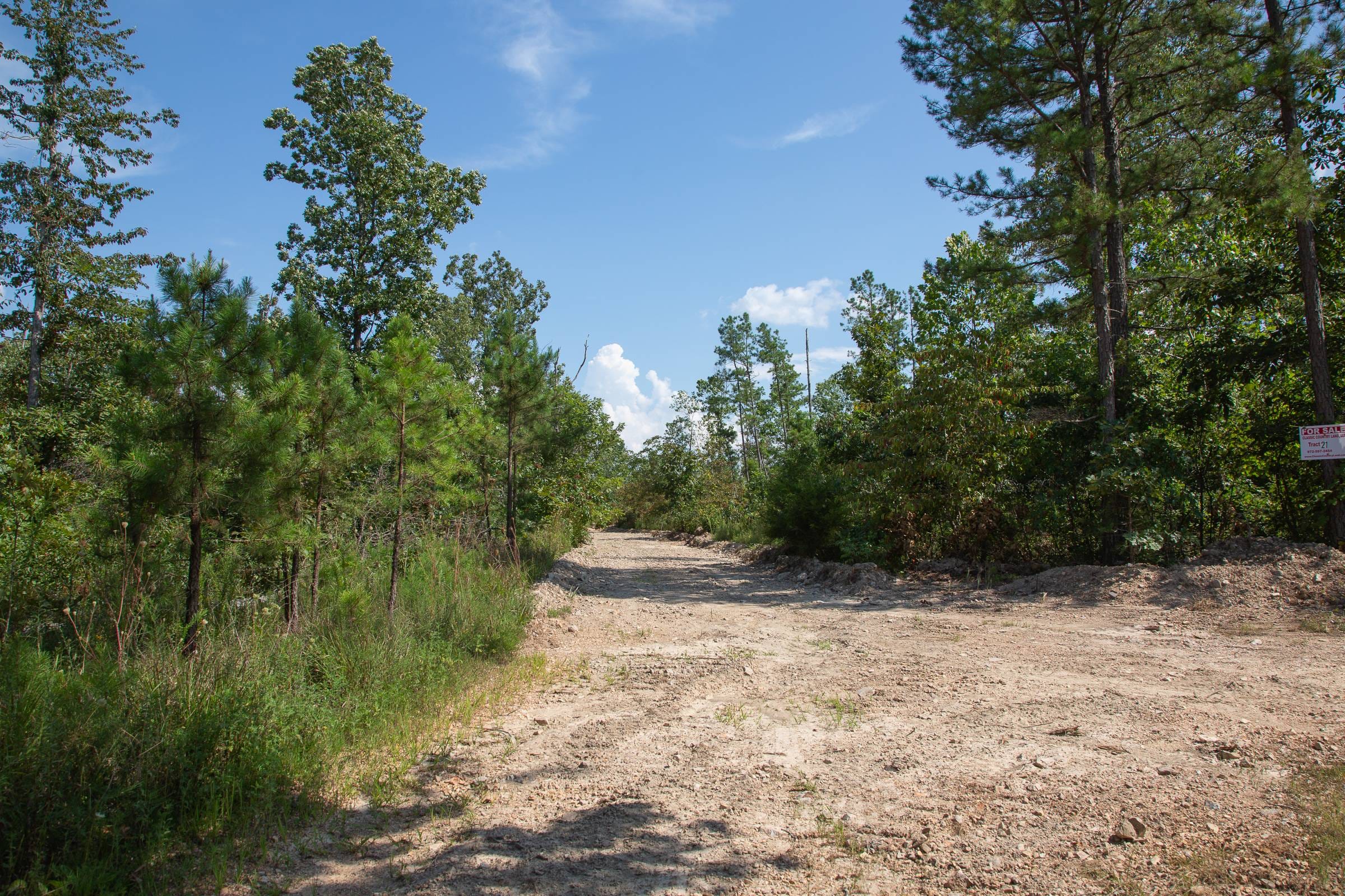 Borgmann’s Hollow Phase I Tract 20 photo 1