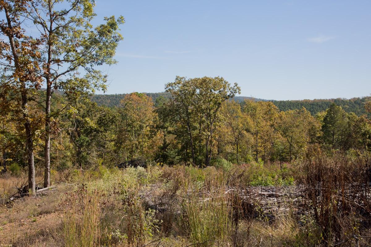 Stone Creek Phase I Tract 183 photo 11