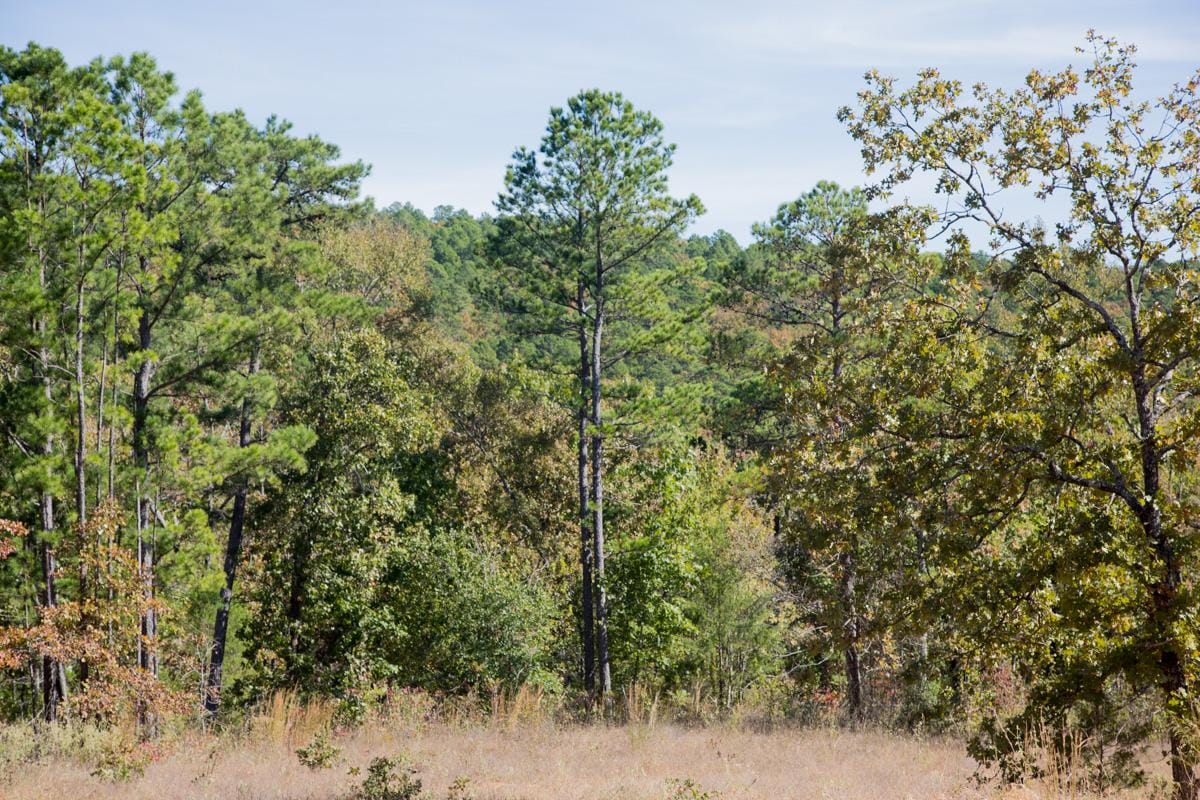Stone Creek Phase I Tract 183 photo 12