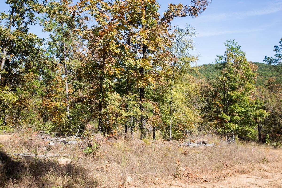 Stone Creek Phase I Tract 183 photo 13
