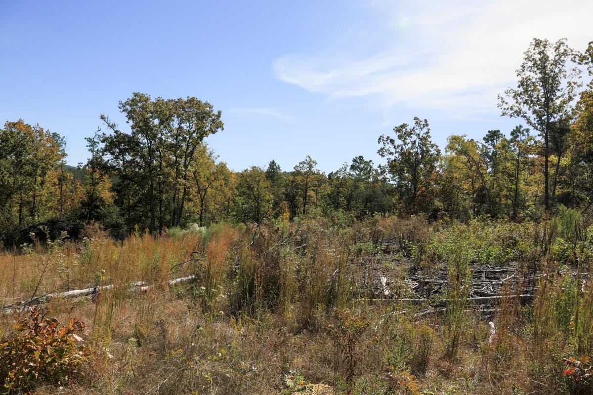 Stone Creek Phase I Tract 183 photo 14