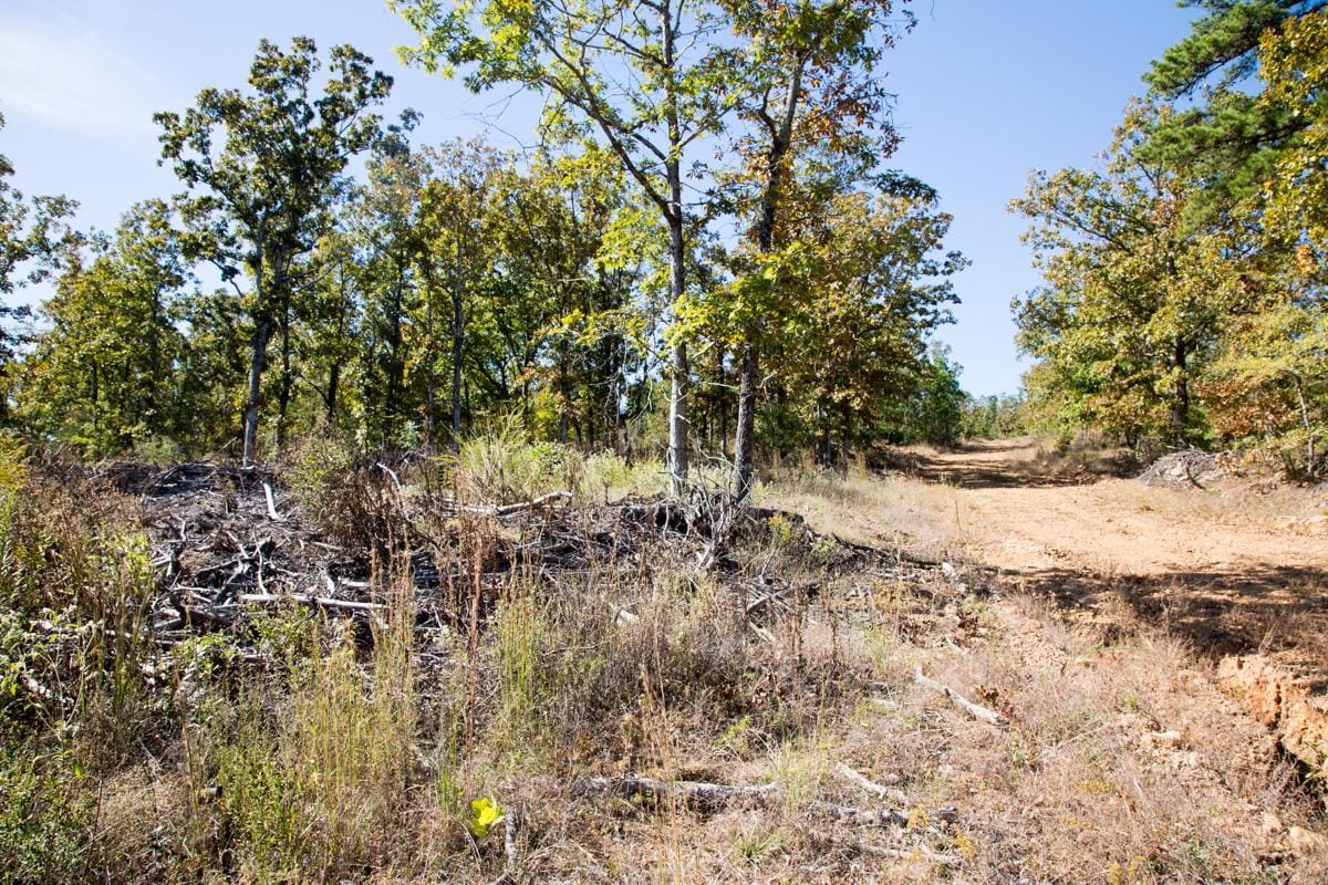Stone Creek Phase I Tract 183 photo 15