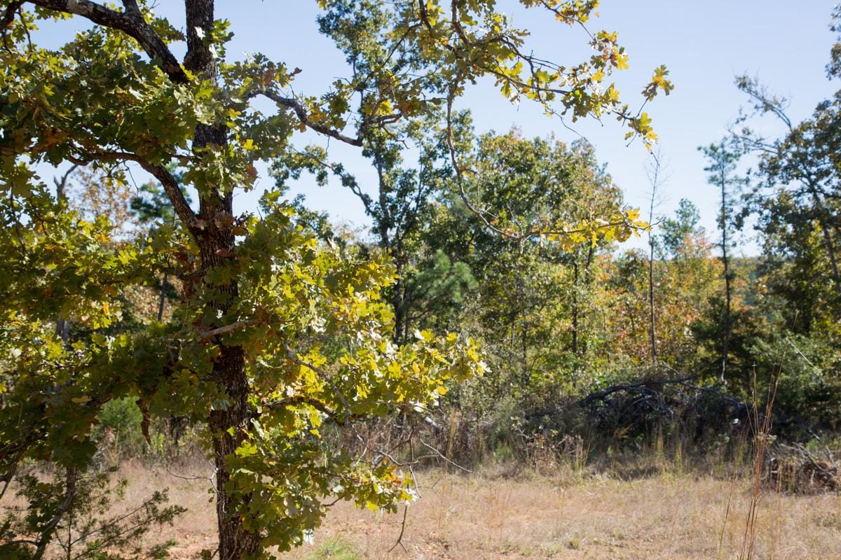 Stone Creek Phase I Tract 183 photo 16